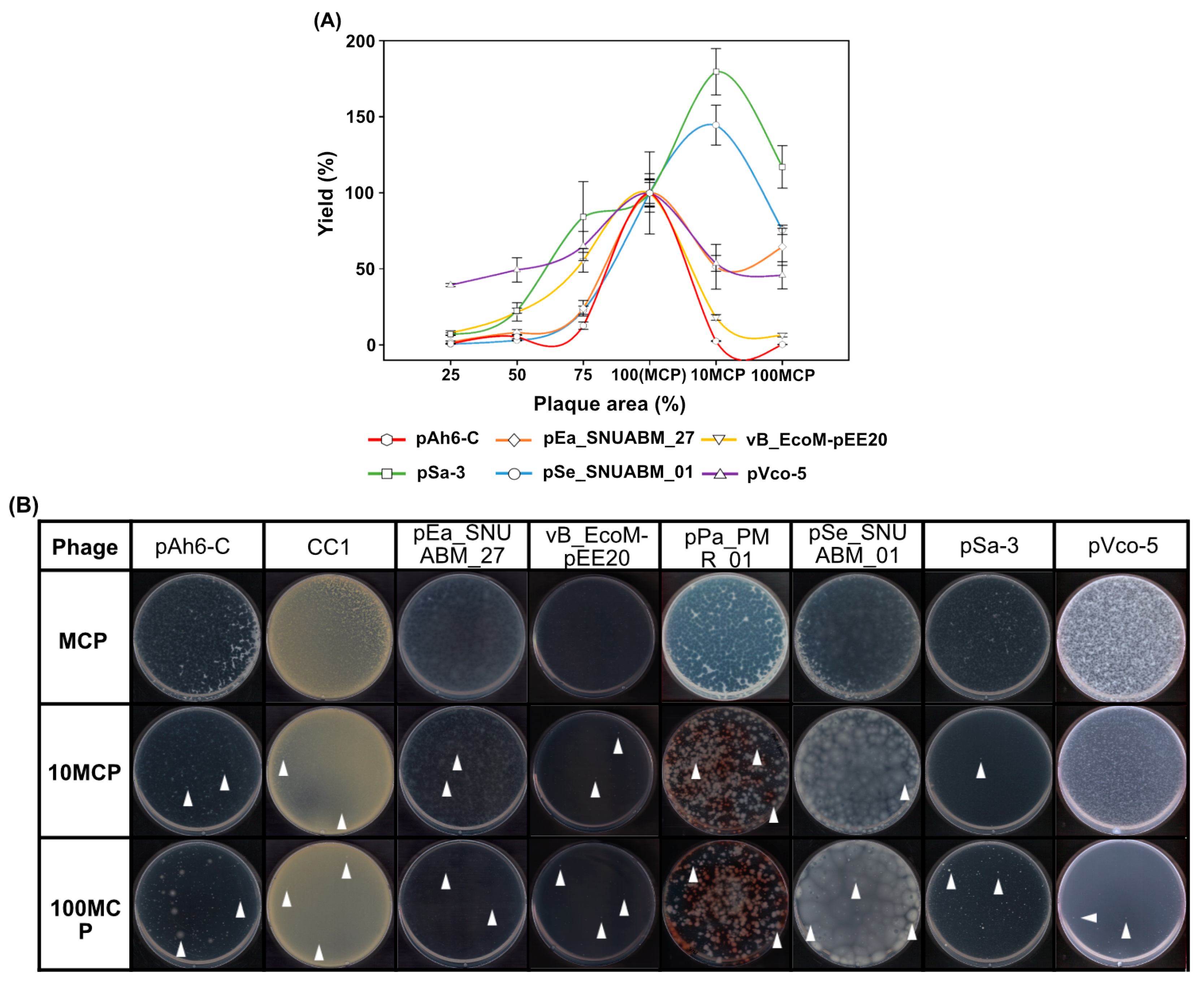 Antibiotics 14 00002 g004