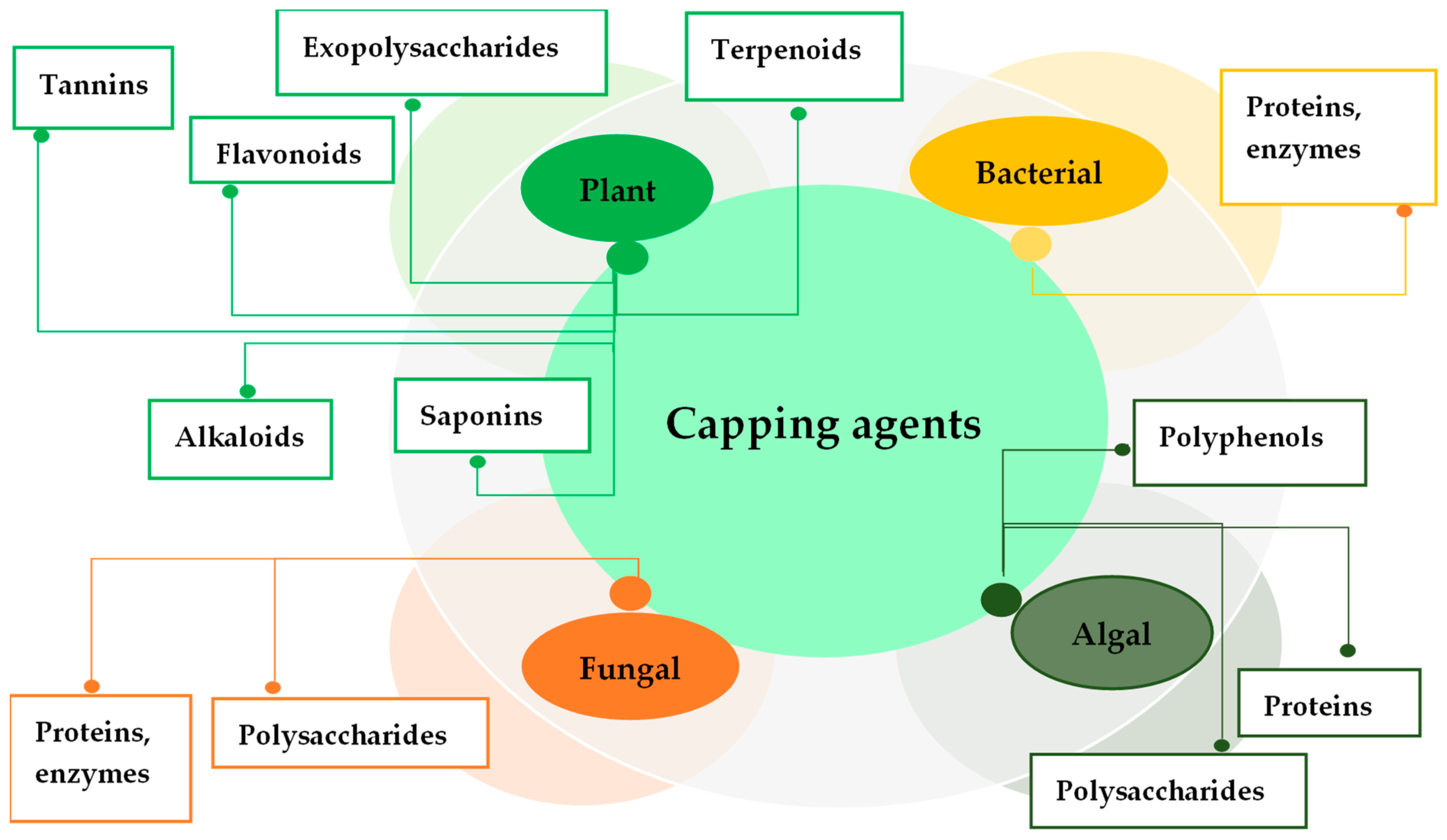 Antibiotics 14 00005 g003