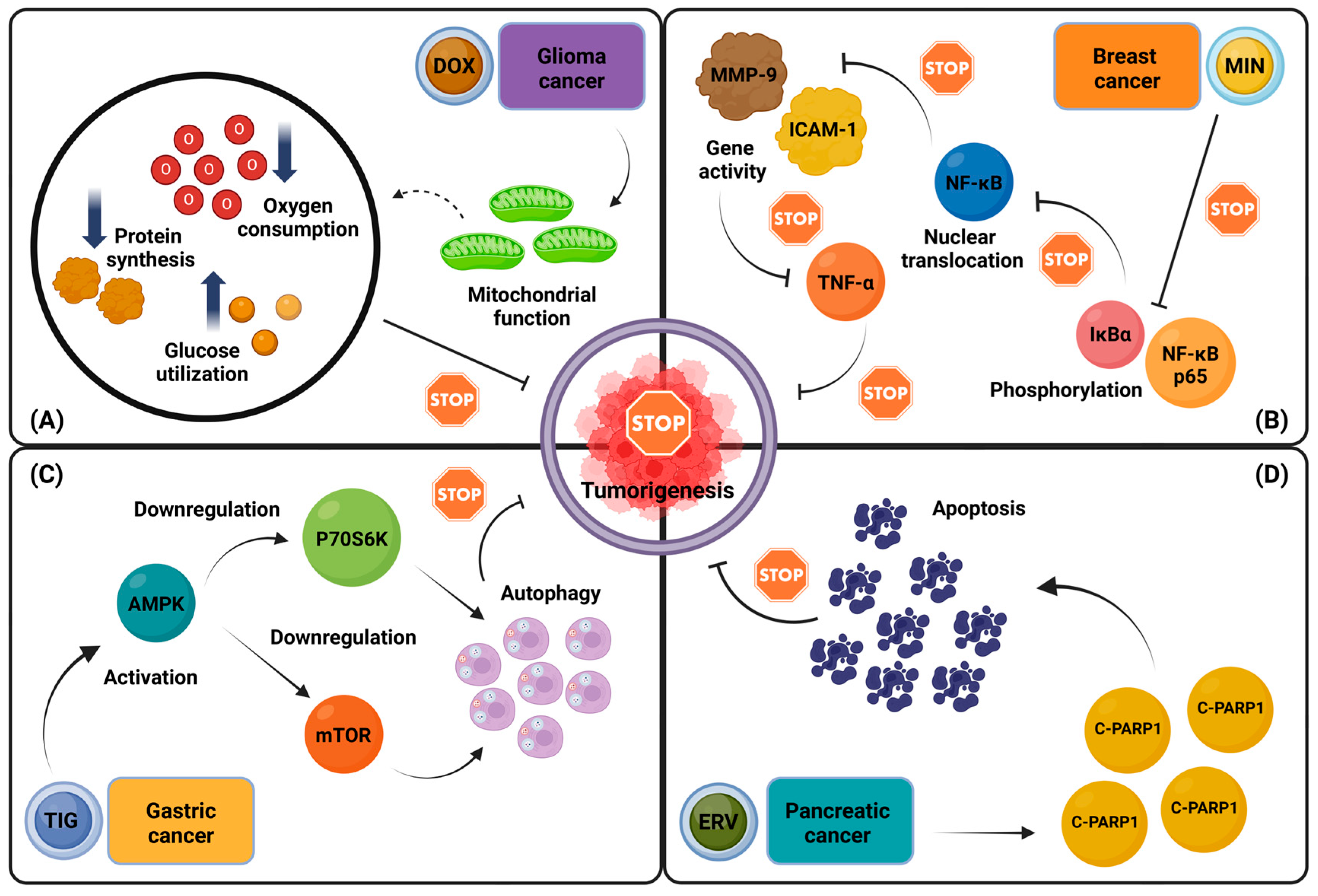 Antibiotics 14 00009 g001