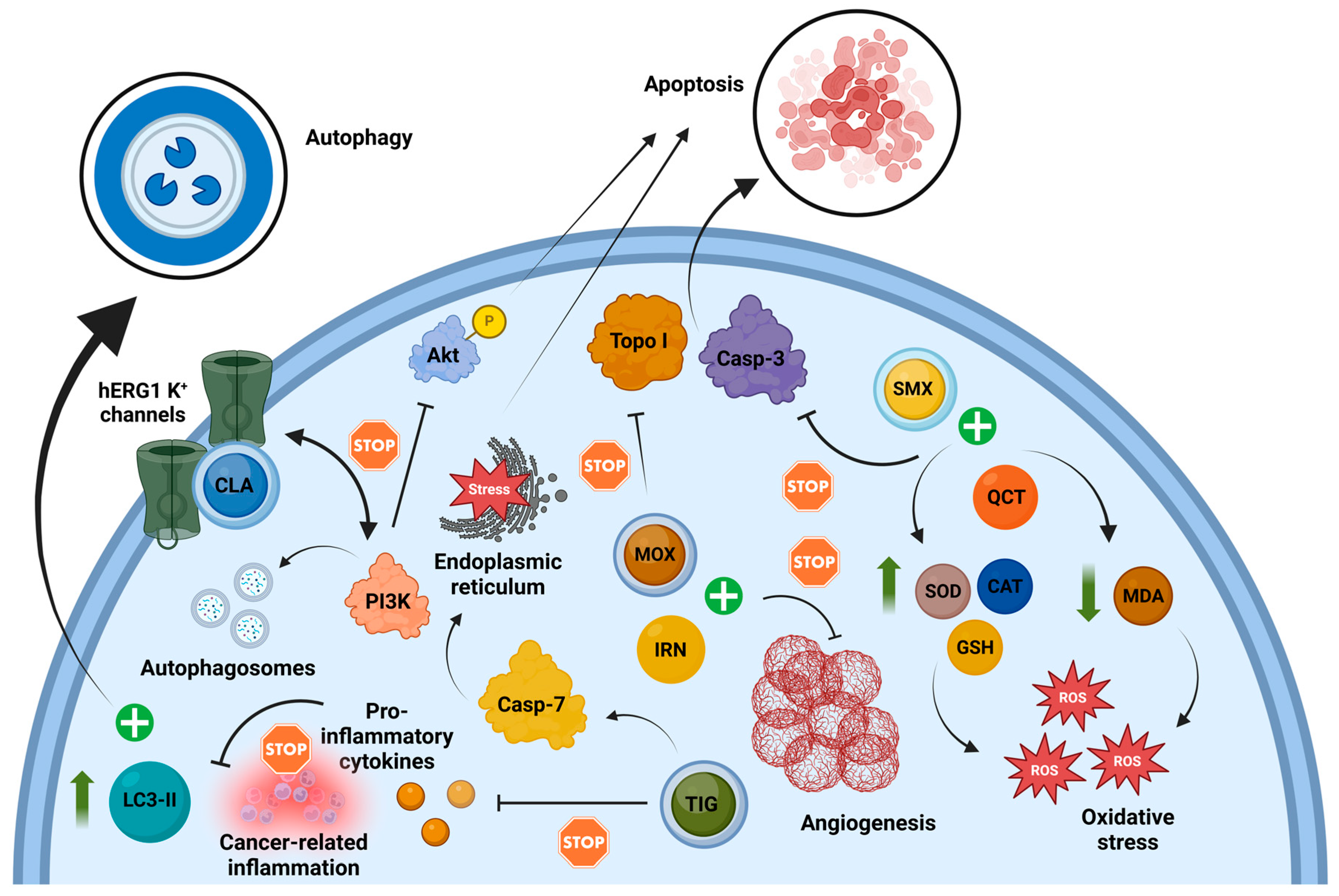 Antibiotics 14 00009 g002
