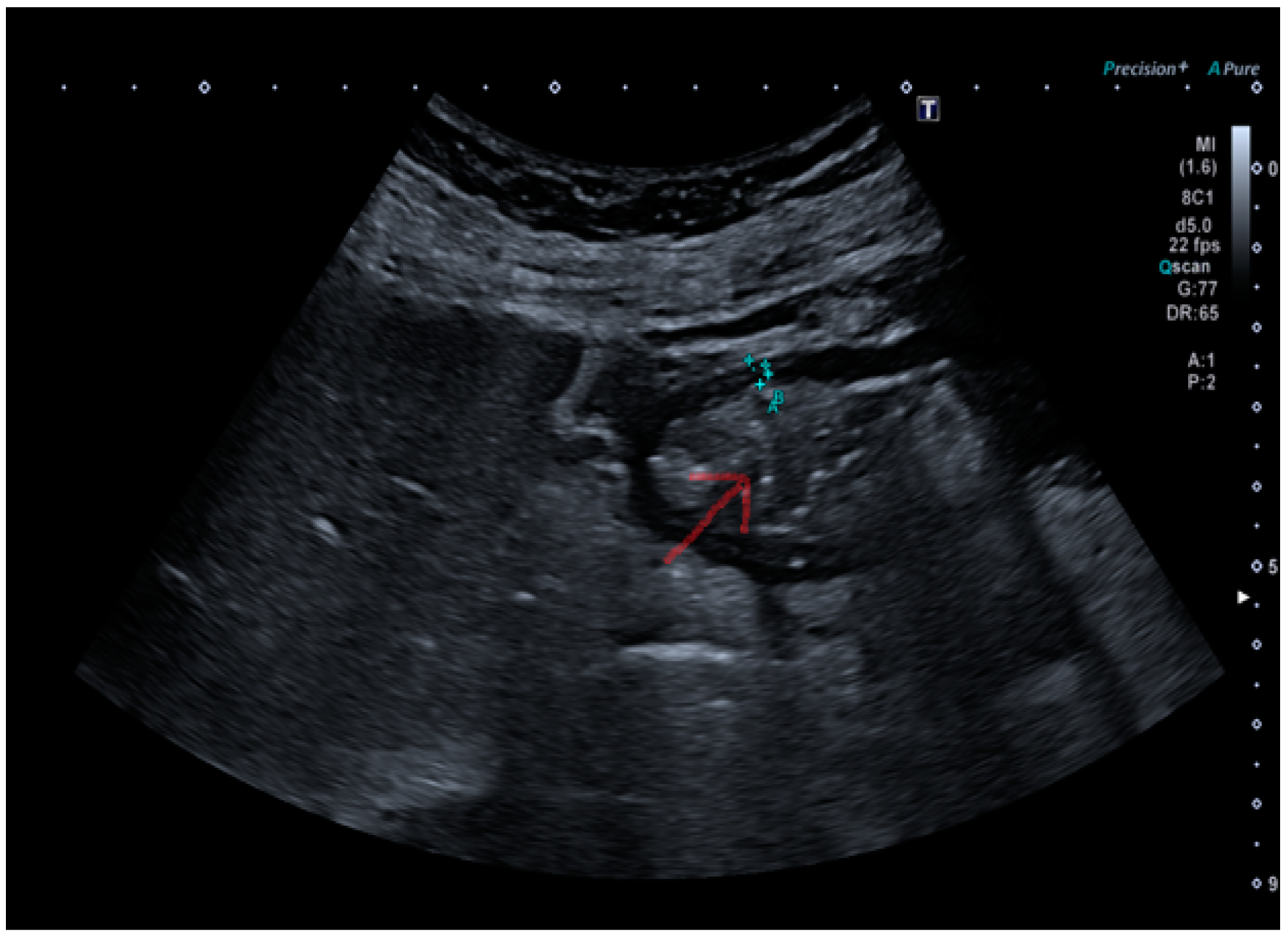 Antibiotics 14 00012 g001