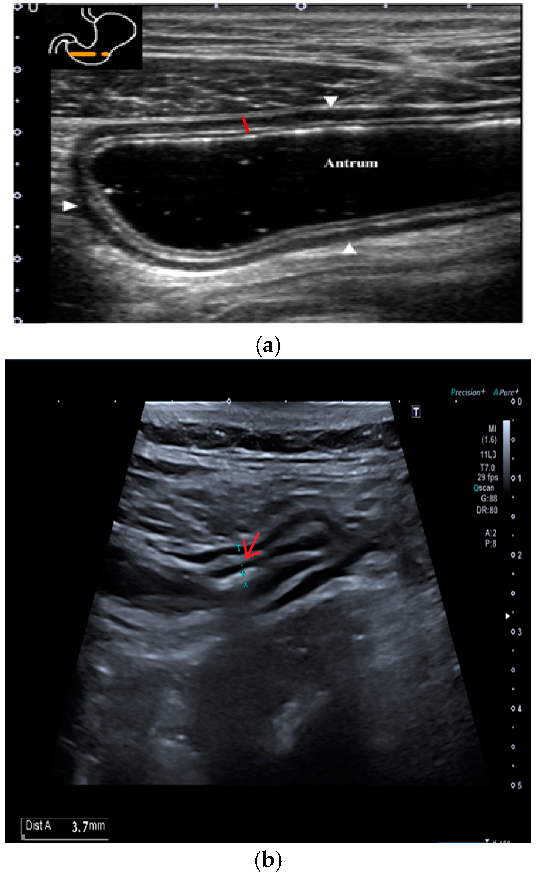 Antibiotics 14 00012 g002