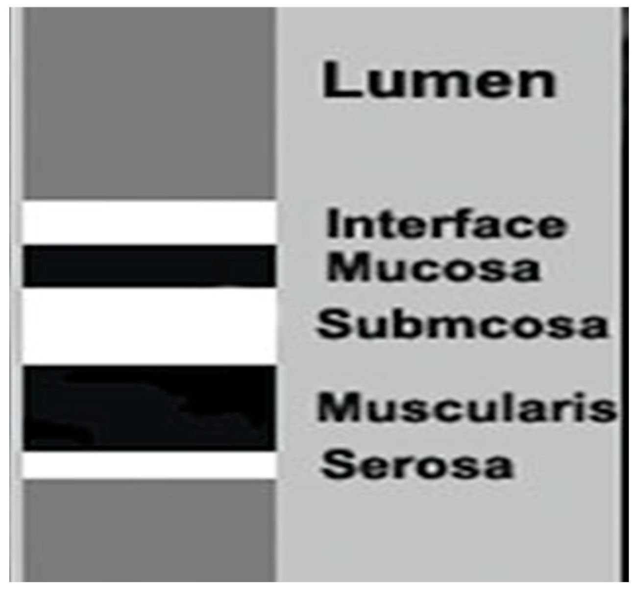 Antibiotics 14 00012 g004