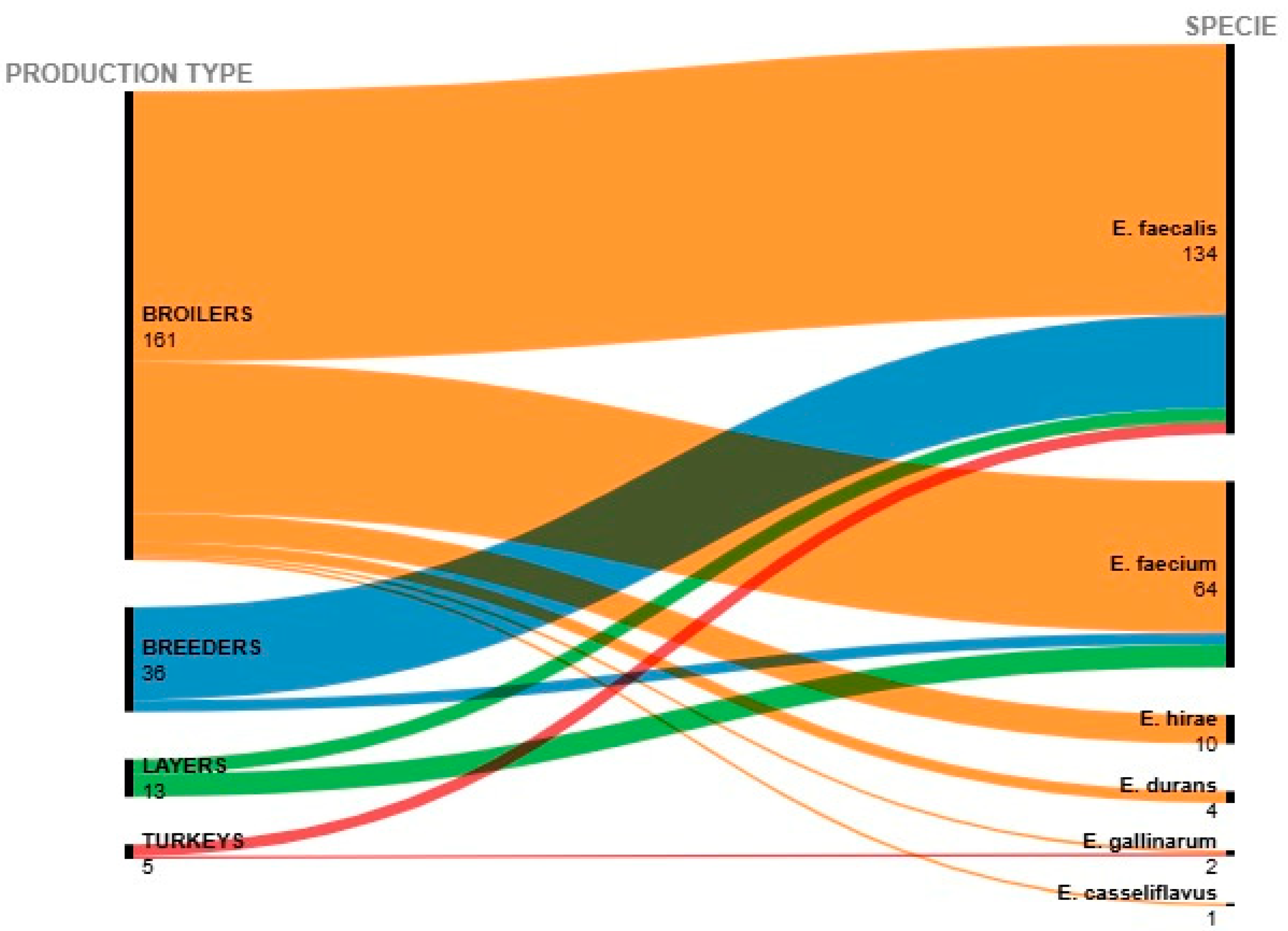 Antibiotics 14 00016 g001