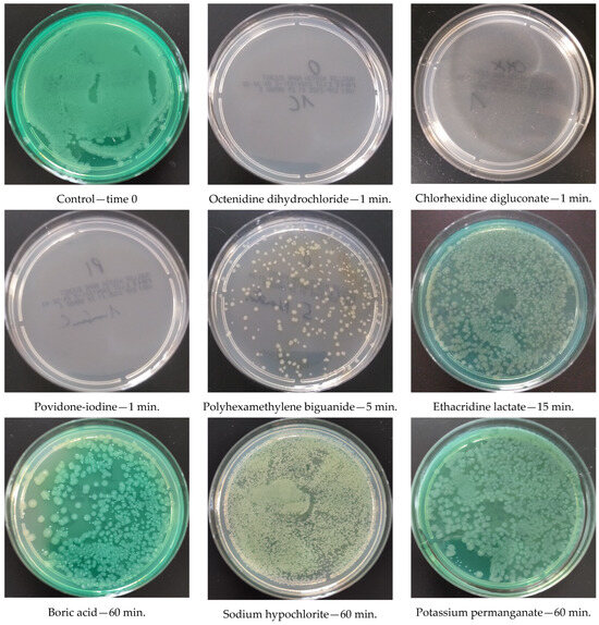 Activity of Antiseptics Against Pseudomonas aeruginosa and Activity of Antiseptics Against Pseudomonas aeruginosa and