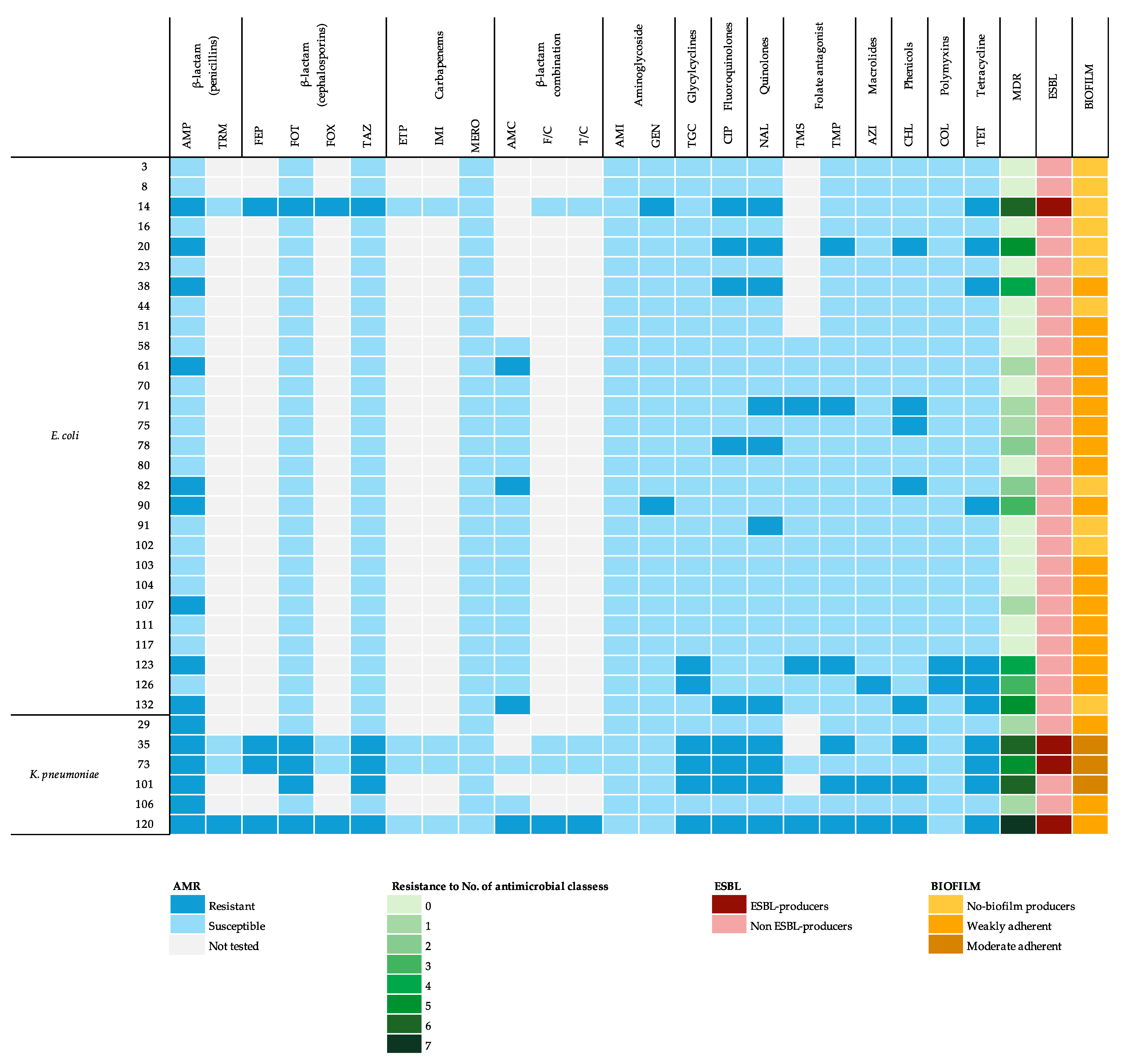 Antibiotics 14 00031 g001