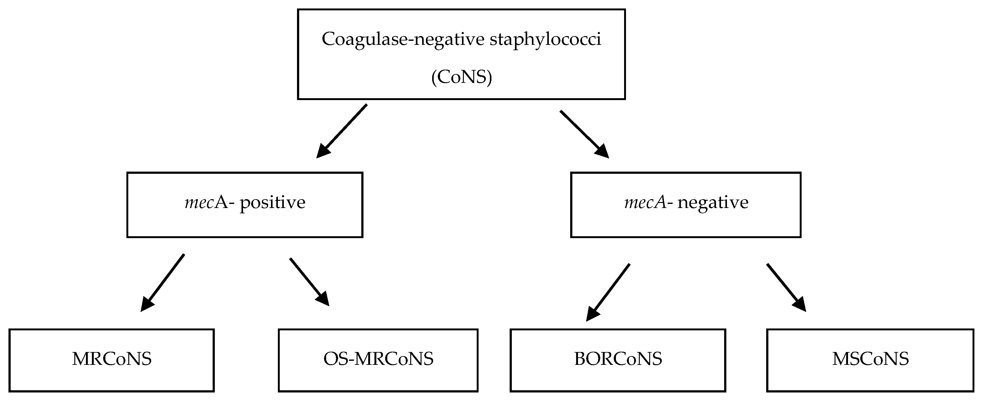 Antibiotics 14 00037 g001
