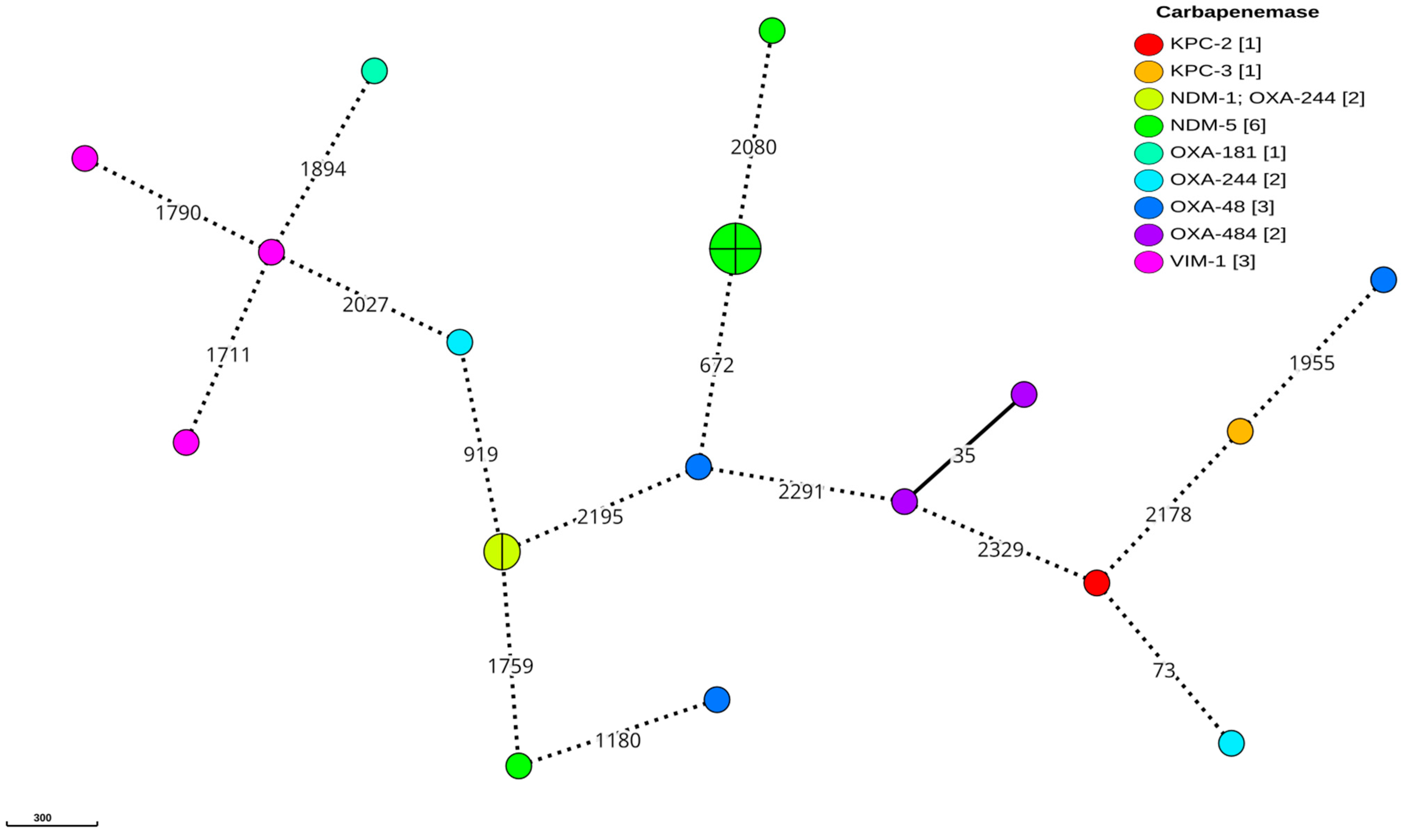 Antibiotics 14 00042 g003