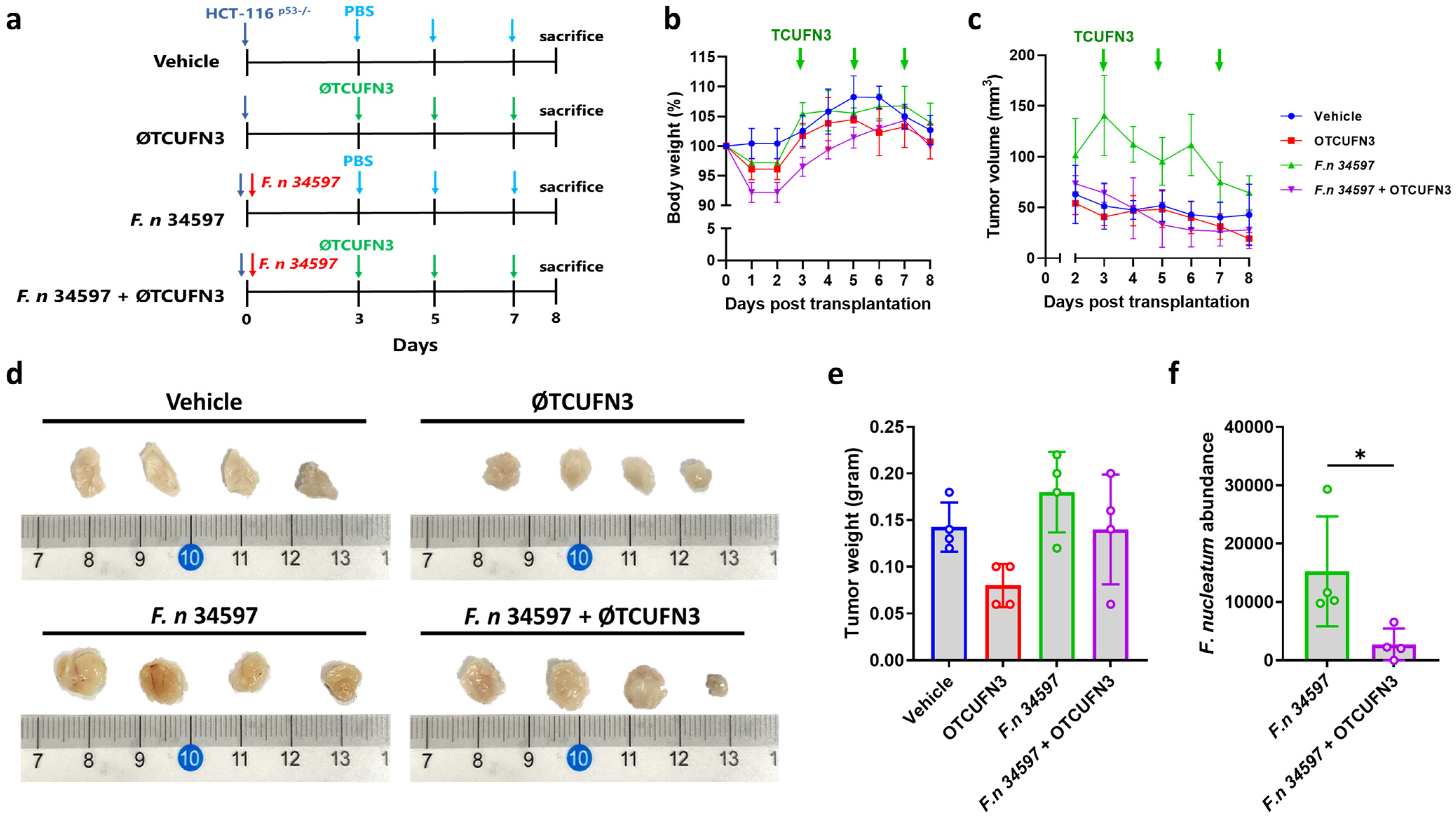 Antibiotics 14 00045 g006