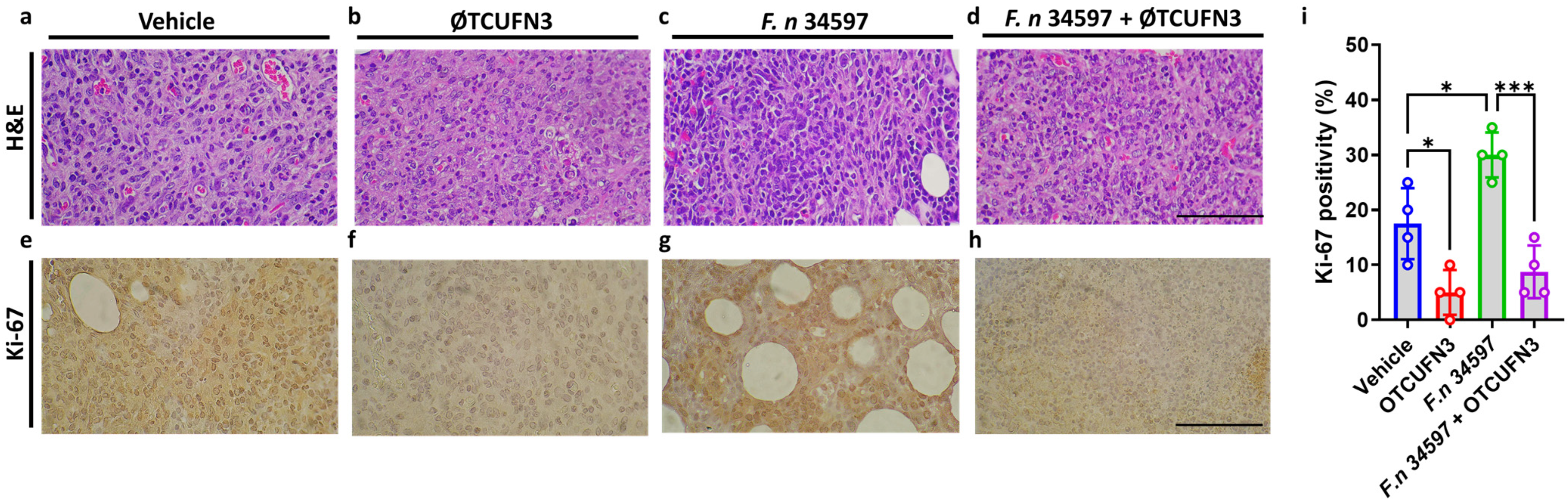 Antibiotics 14 00045 g007