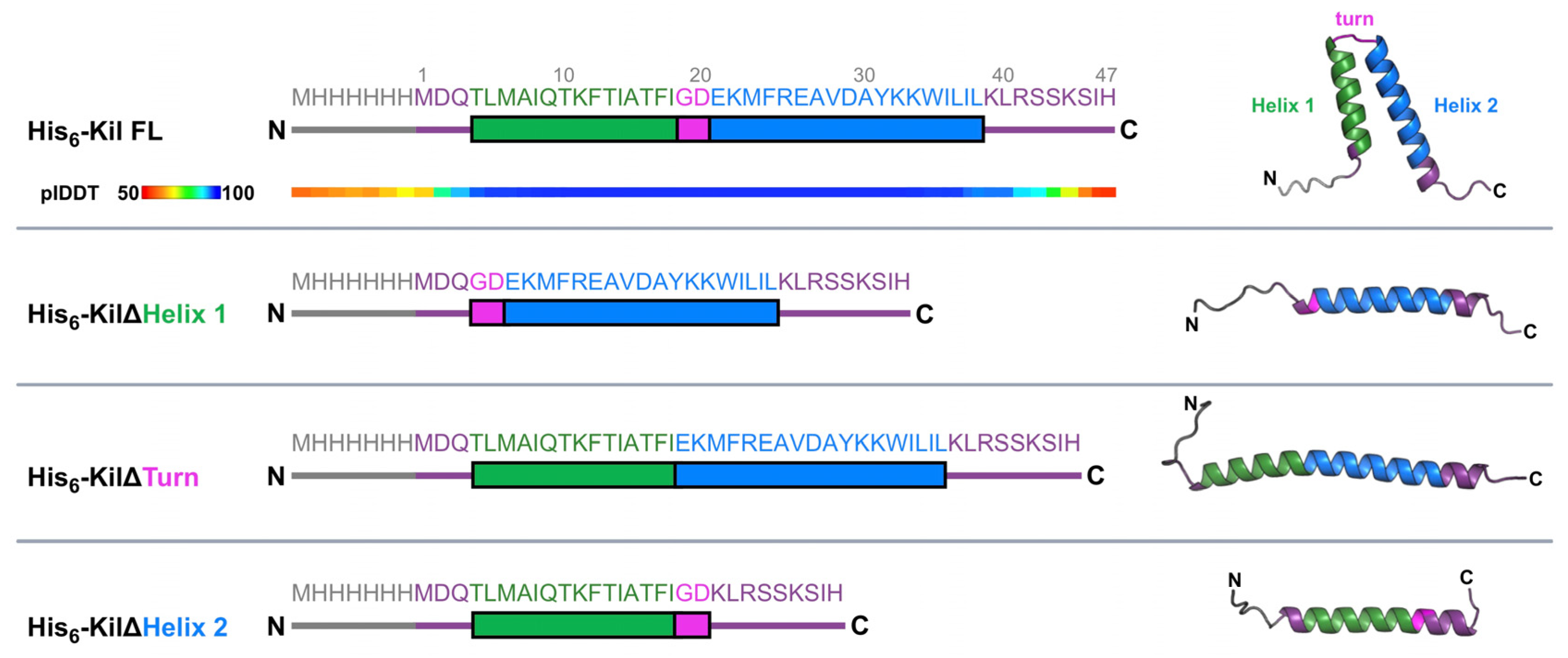 Antibiotics 14 00052 g001