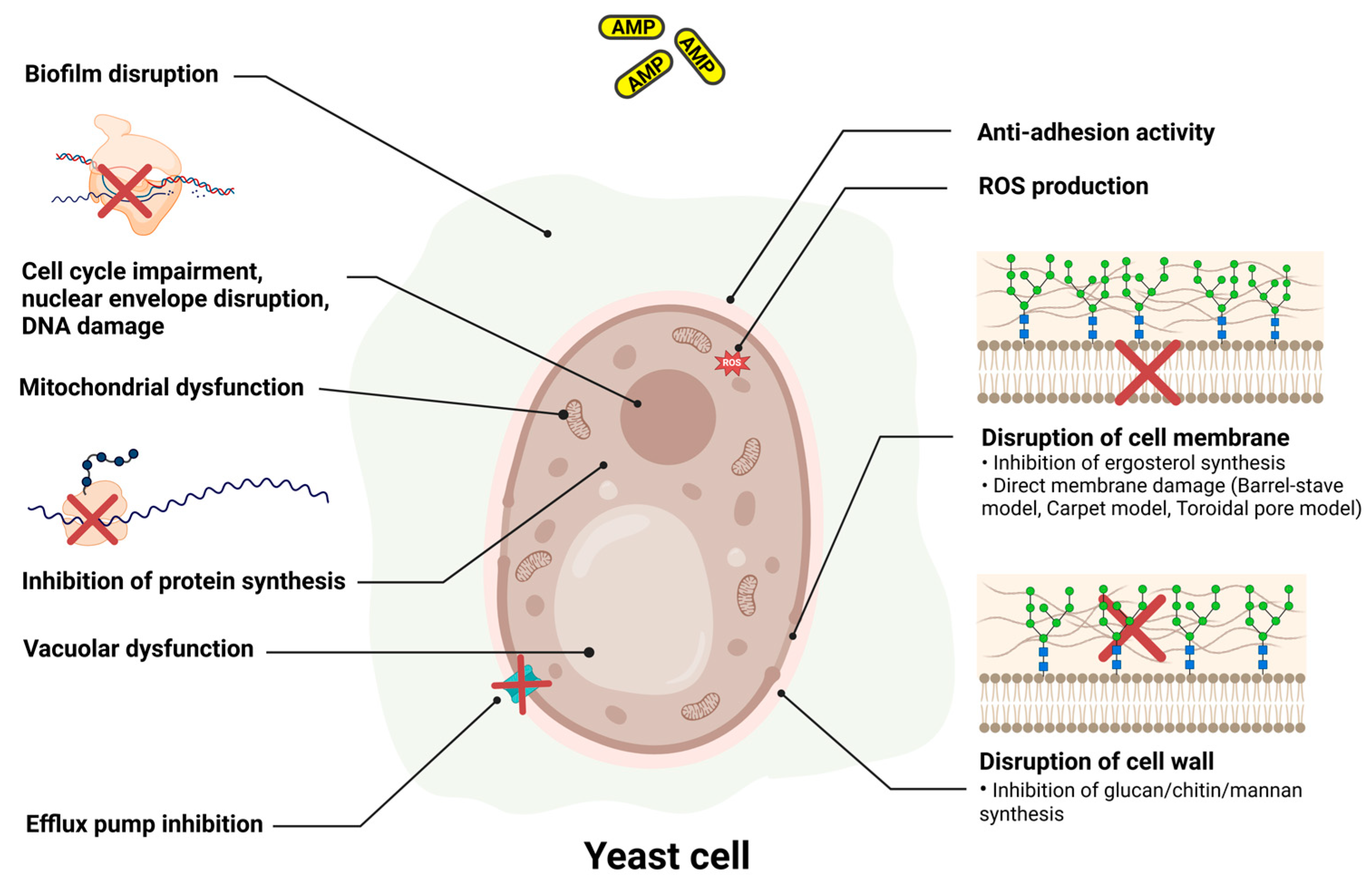 Antibiotics 14 00057 g003