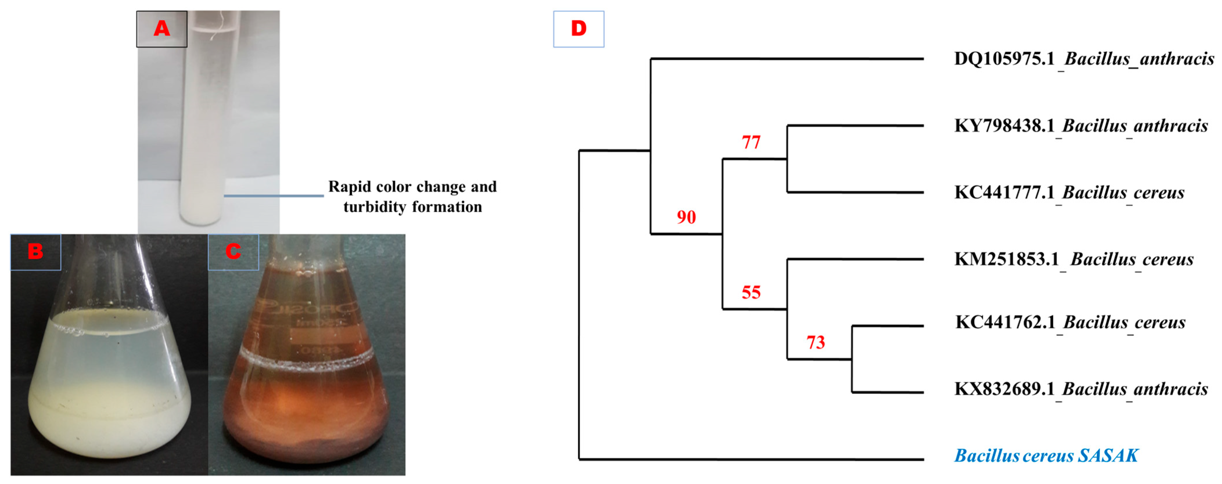 Antibiotics 14 00059 g001