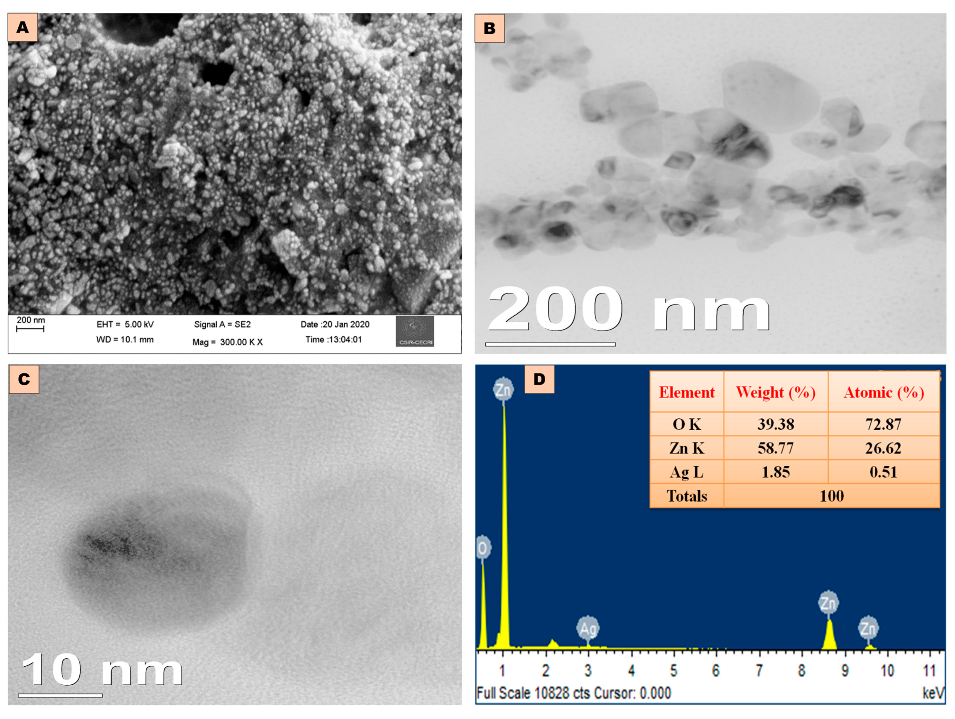 Antibiotics 14 00059 g004
