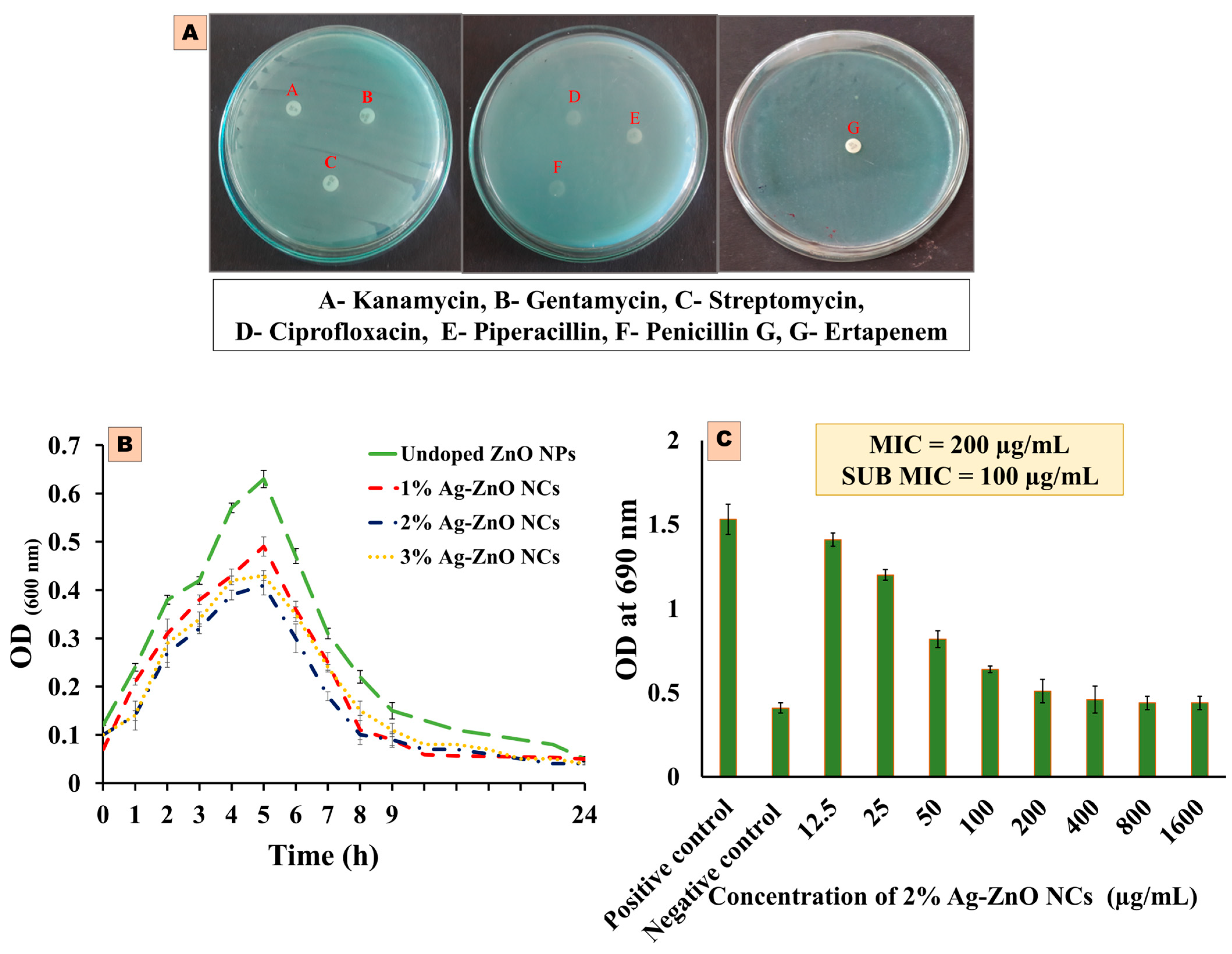 Antibiotics 14 00059 g005