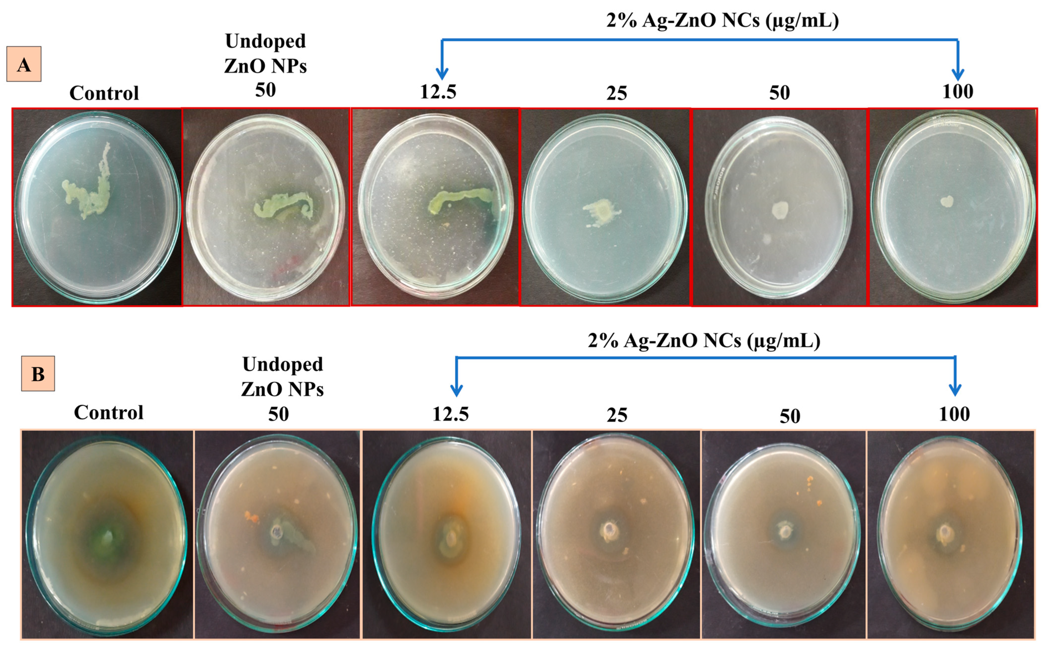 Antibiotics 14 00059 g007