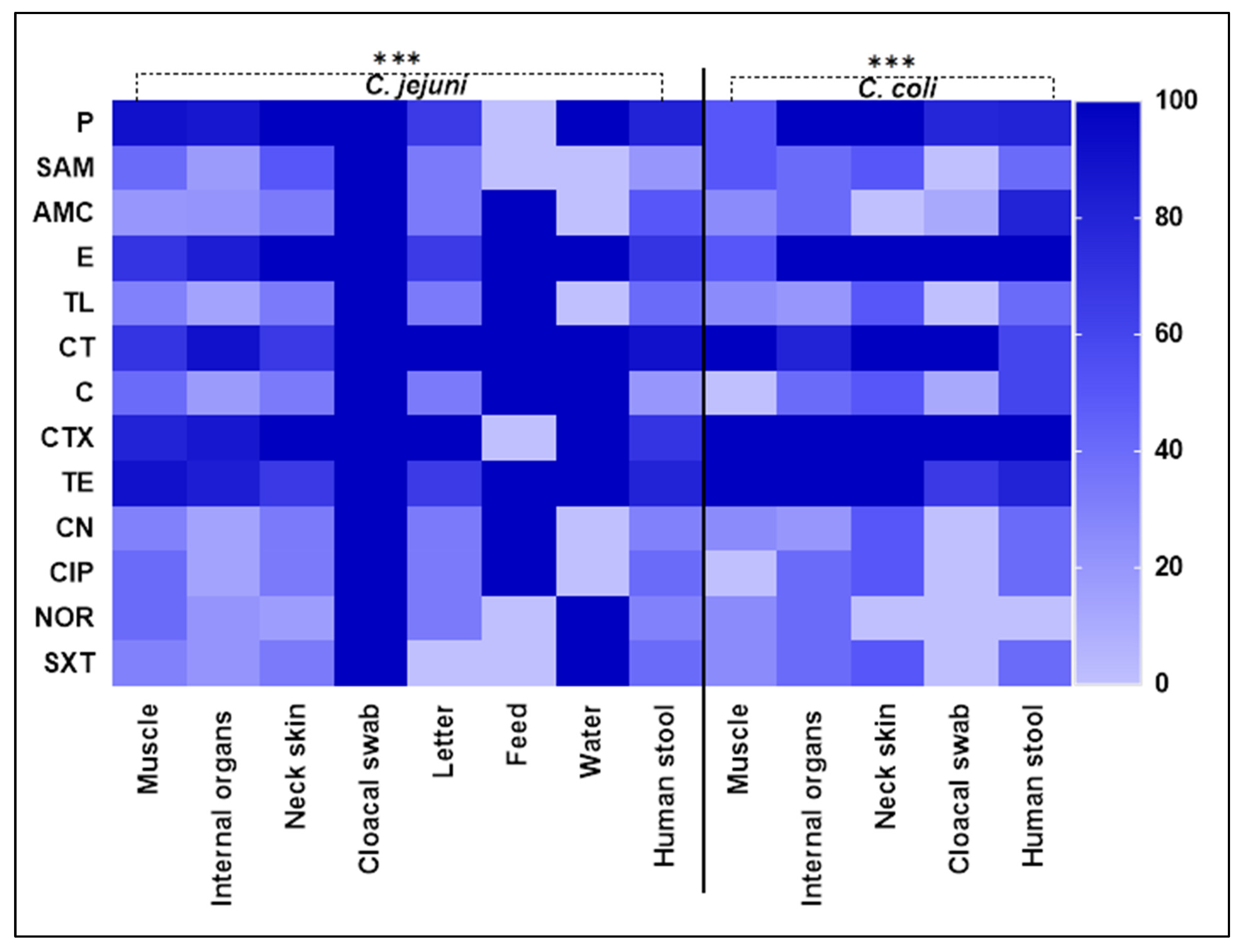 Antibiotics 14 00061 g001