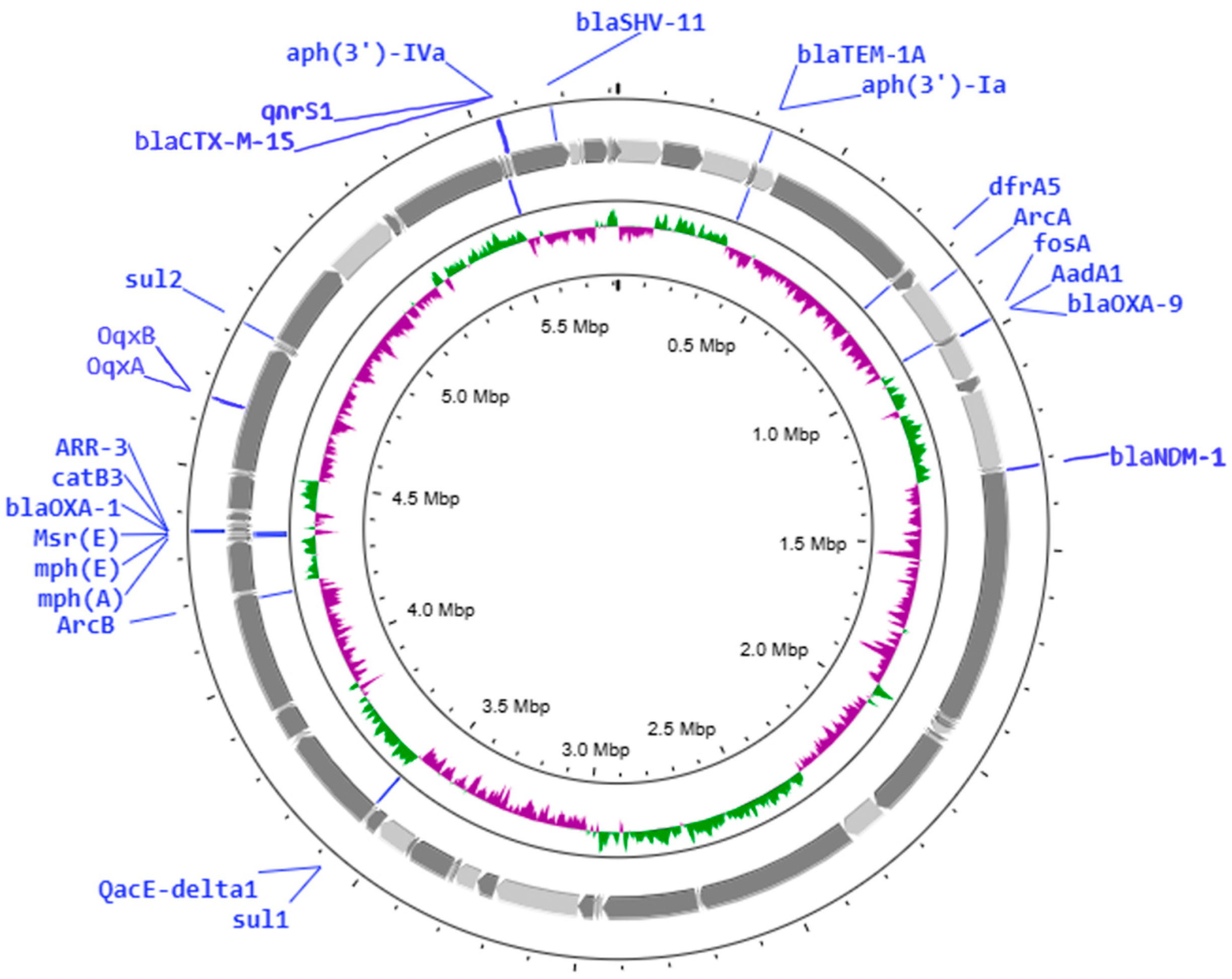 Antibiotics 14 00062 g003