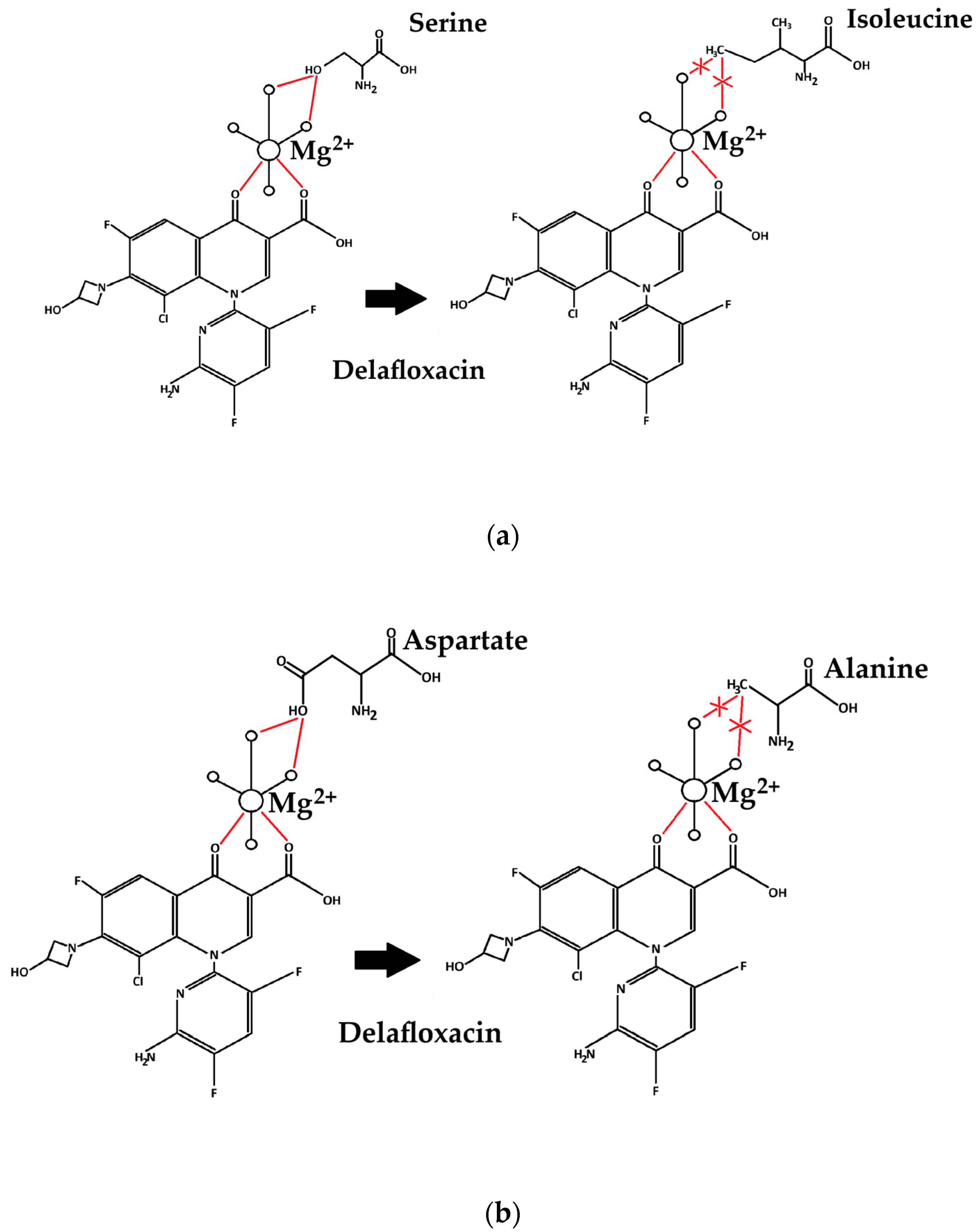Antibiotics 14 00062 g005a