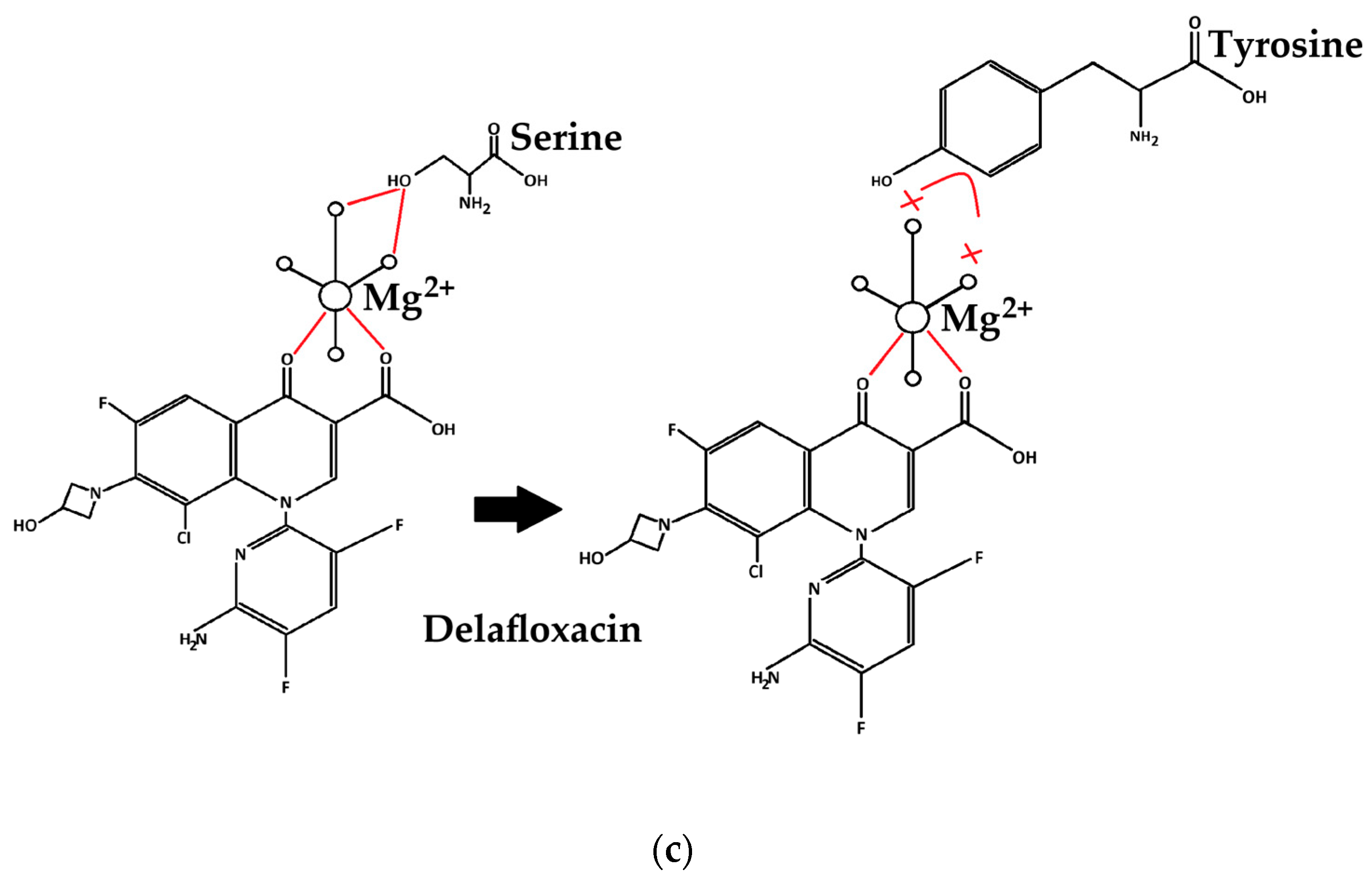 Antibiotics 14 00062 g005b