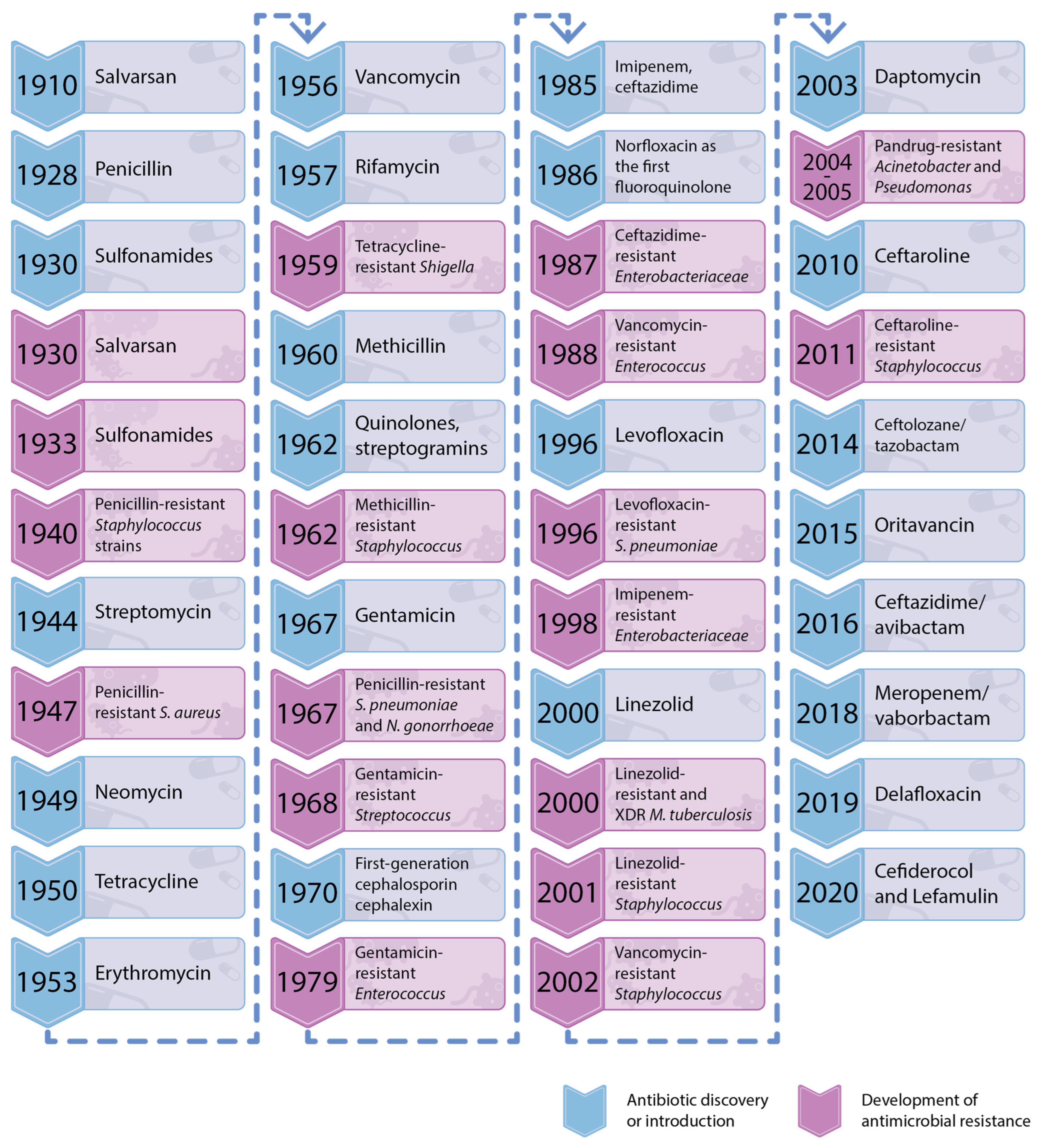 Antibiotics 14 00063 g001