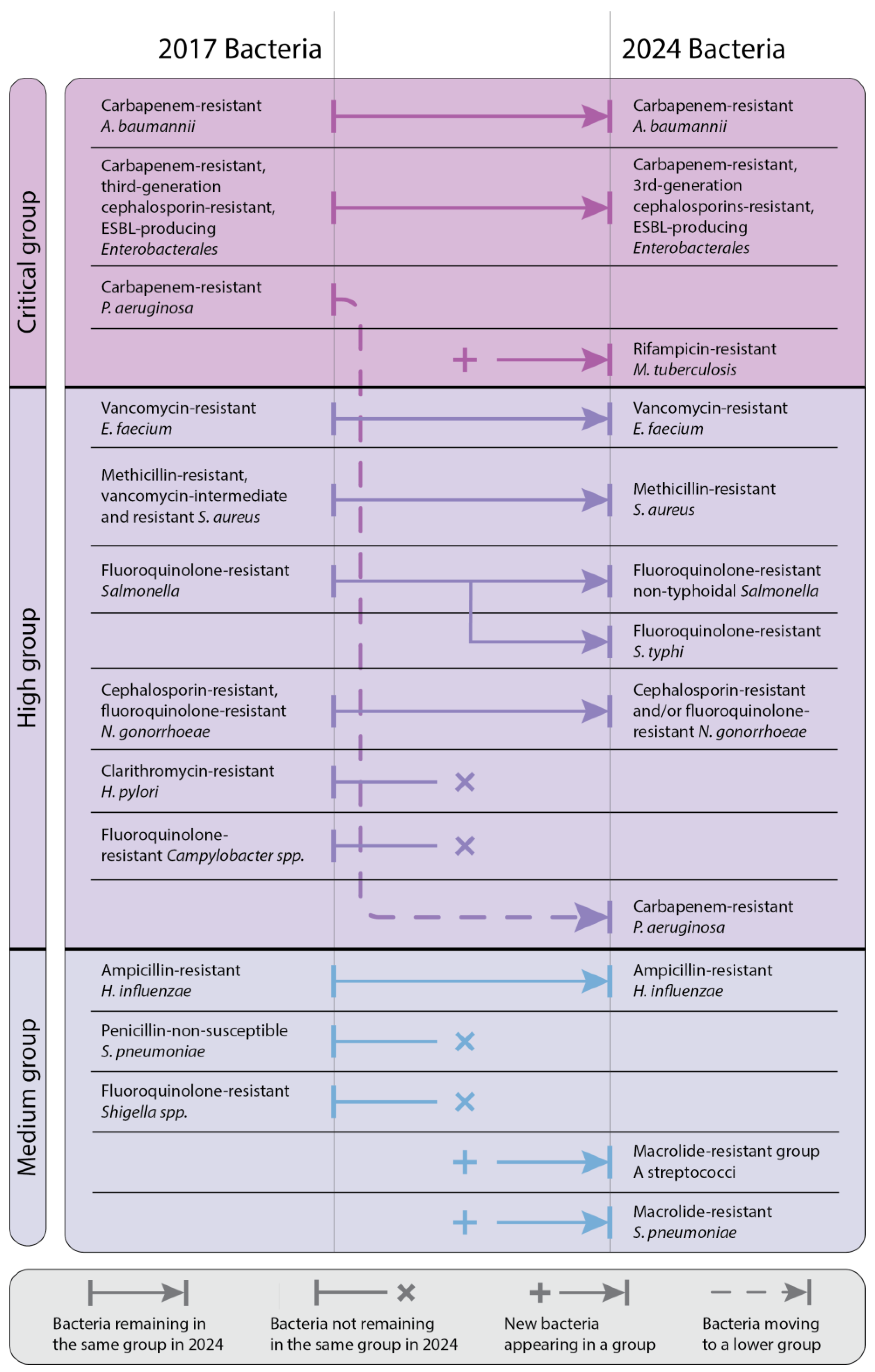 Antibiotics 14 00063 g003