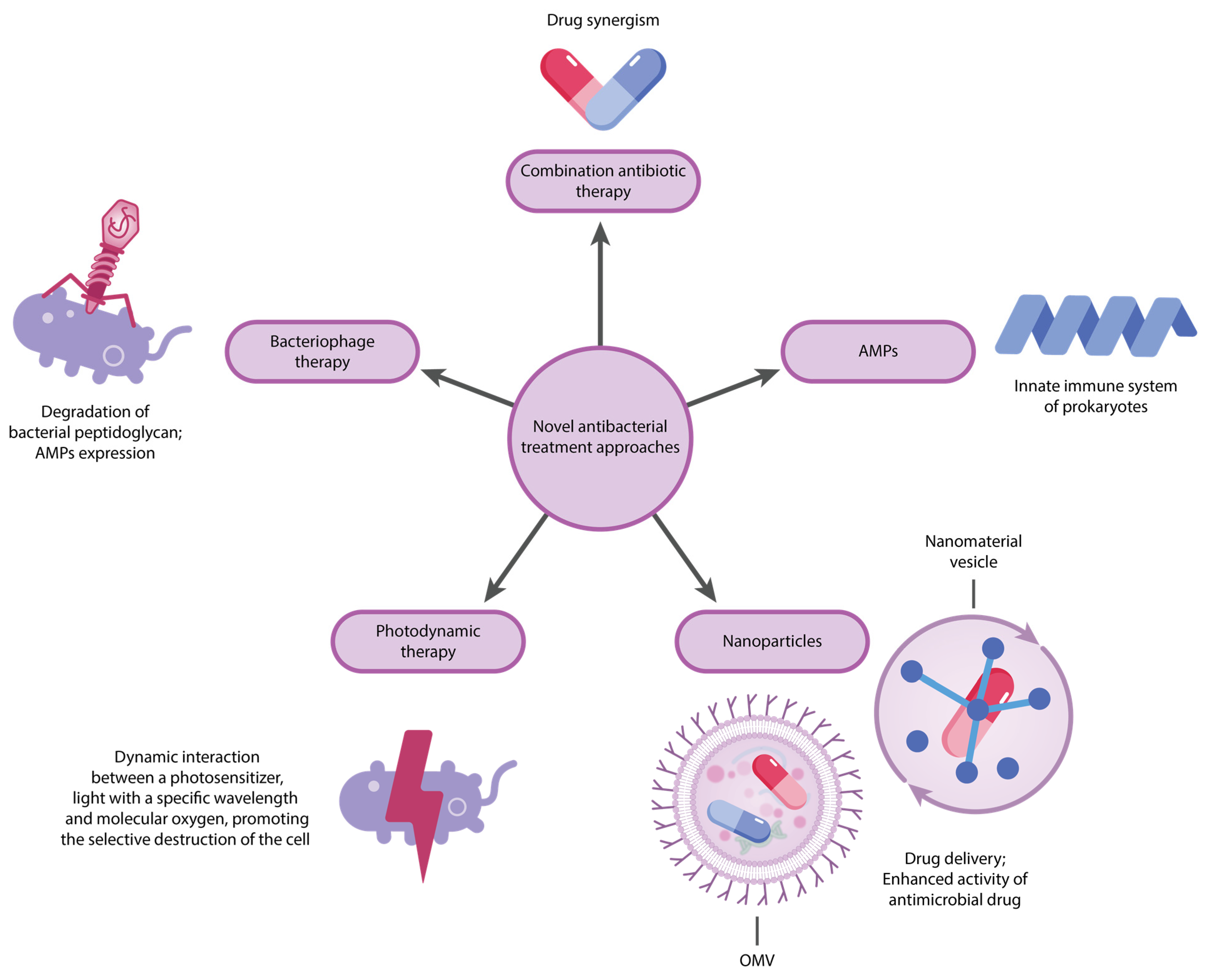 Antibiotics 14 00063 g005