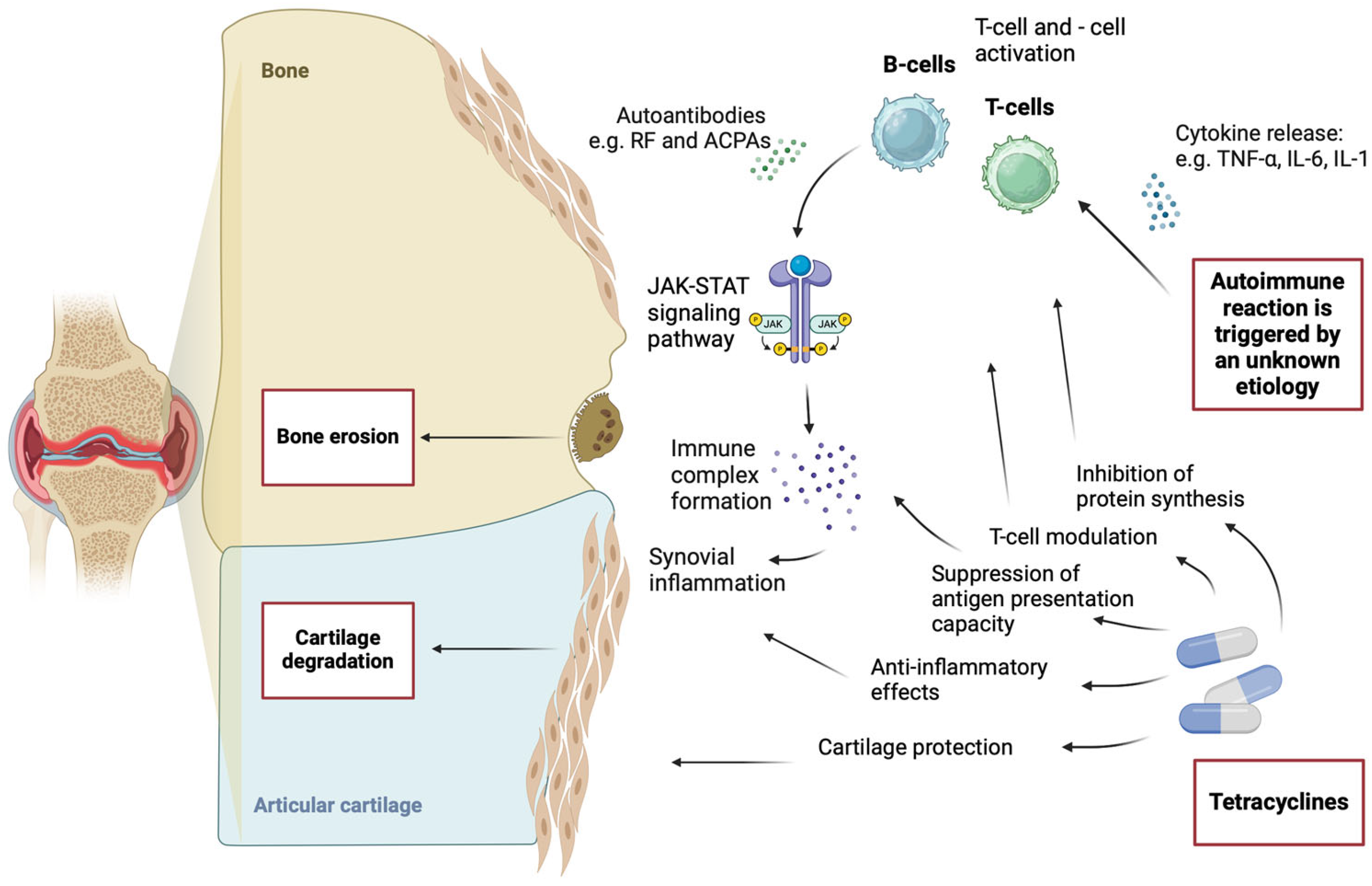 Antibiotics 14 00065 g001