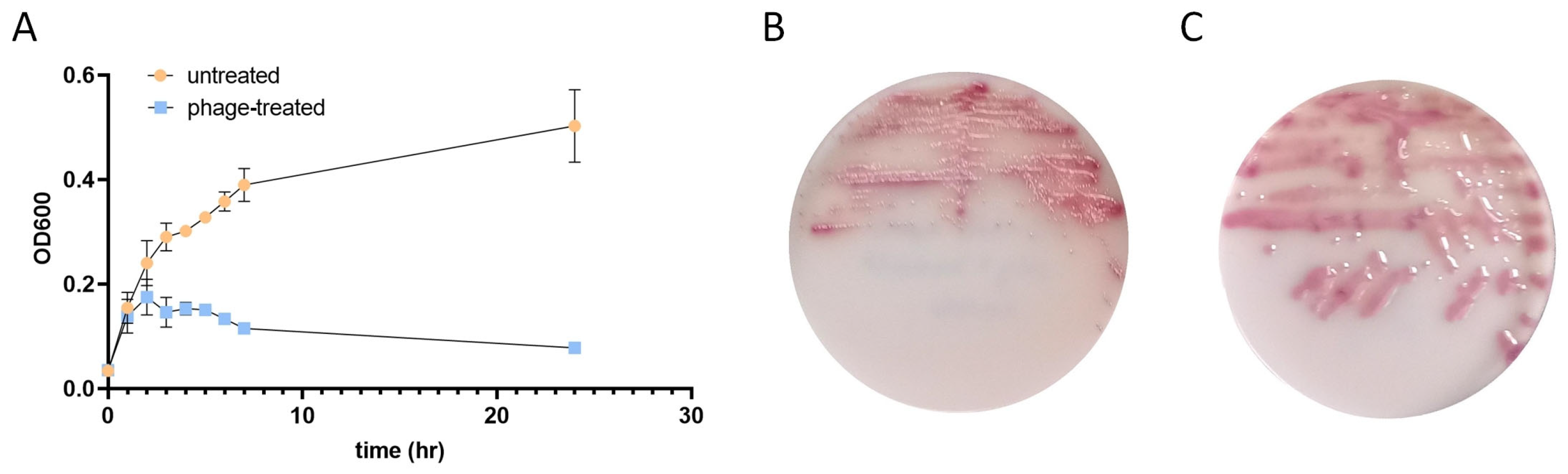 Antibiotics 14 00076 g001