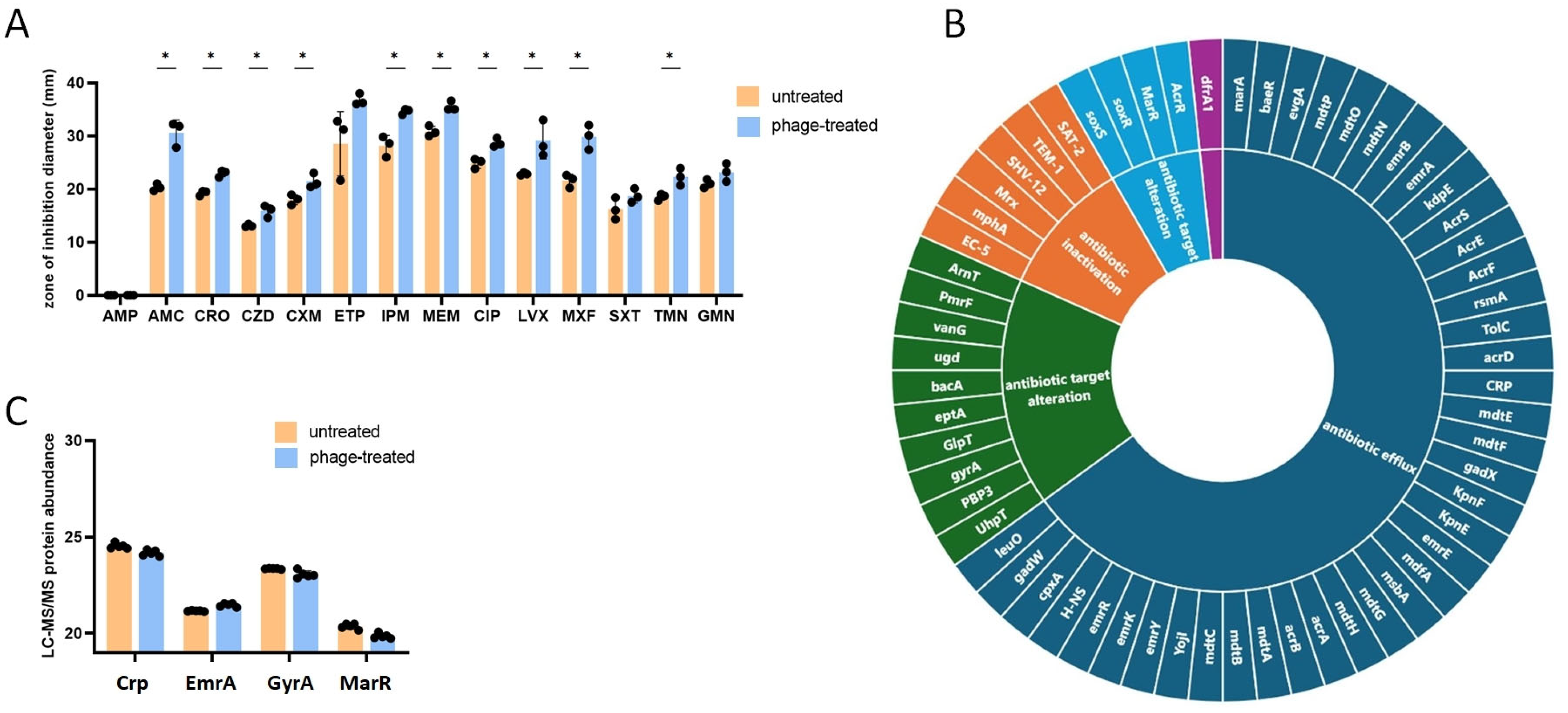 Antibiotics 14 00076 g003