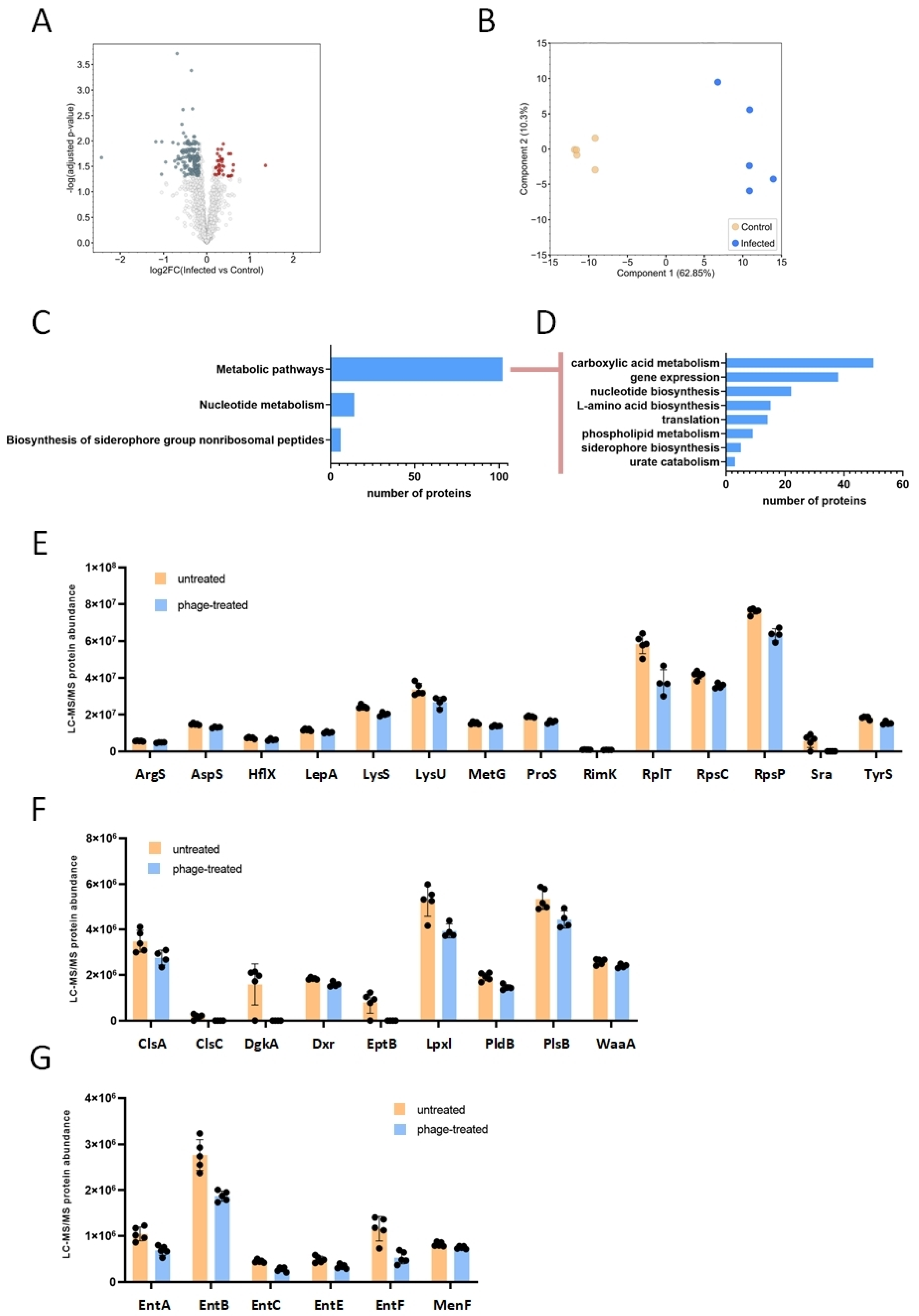 Antibiotics 14 00076 g004