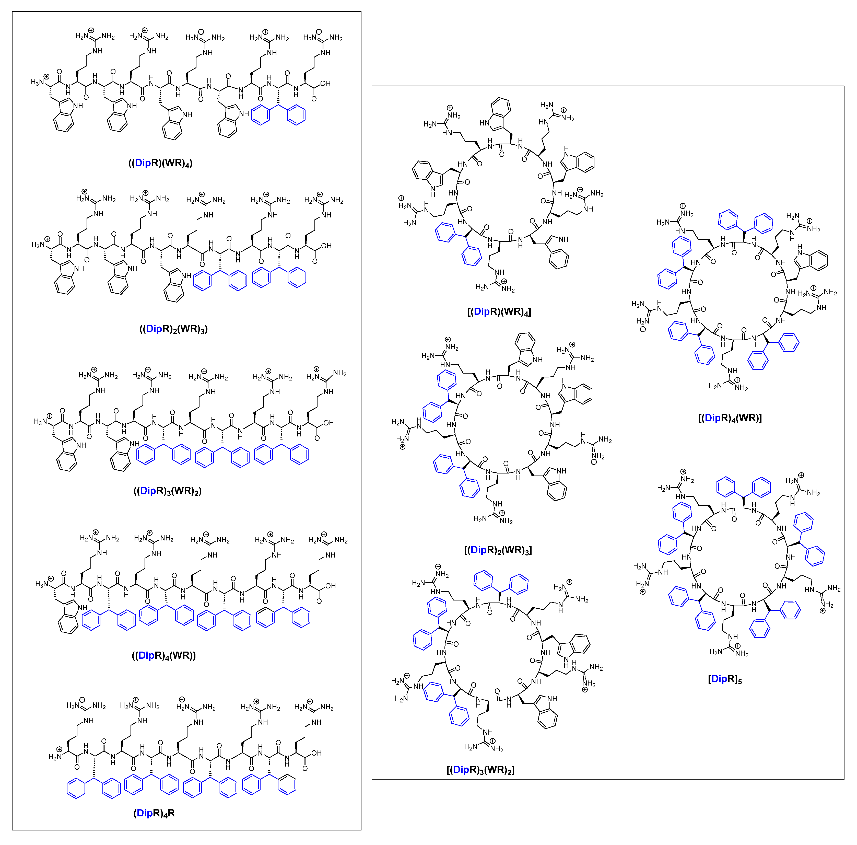 Antibiotics 14 00082 g001