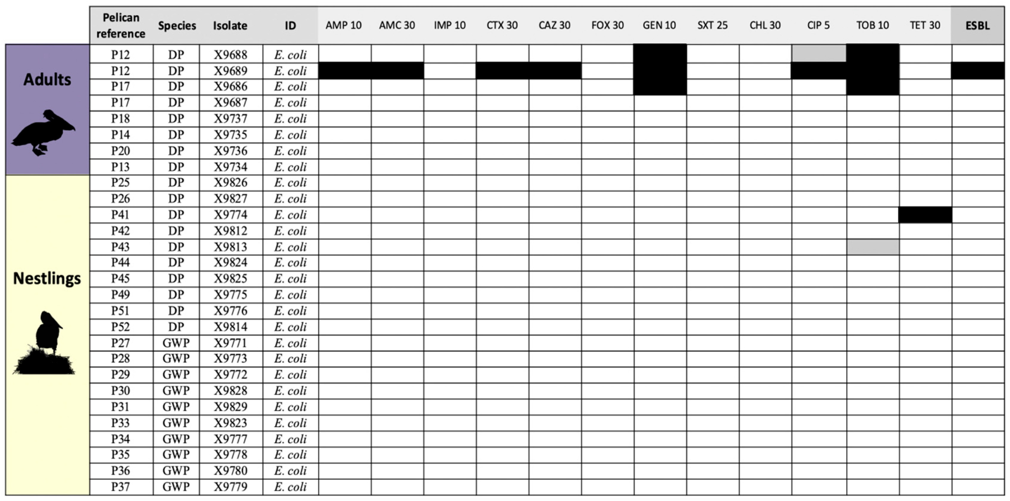Antibiotics 14 00083 g002
