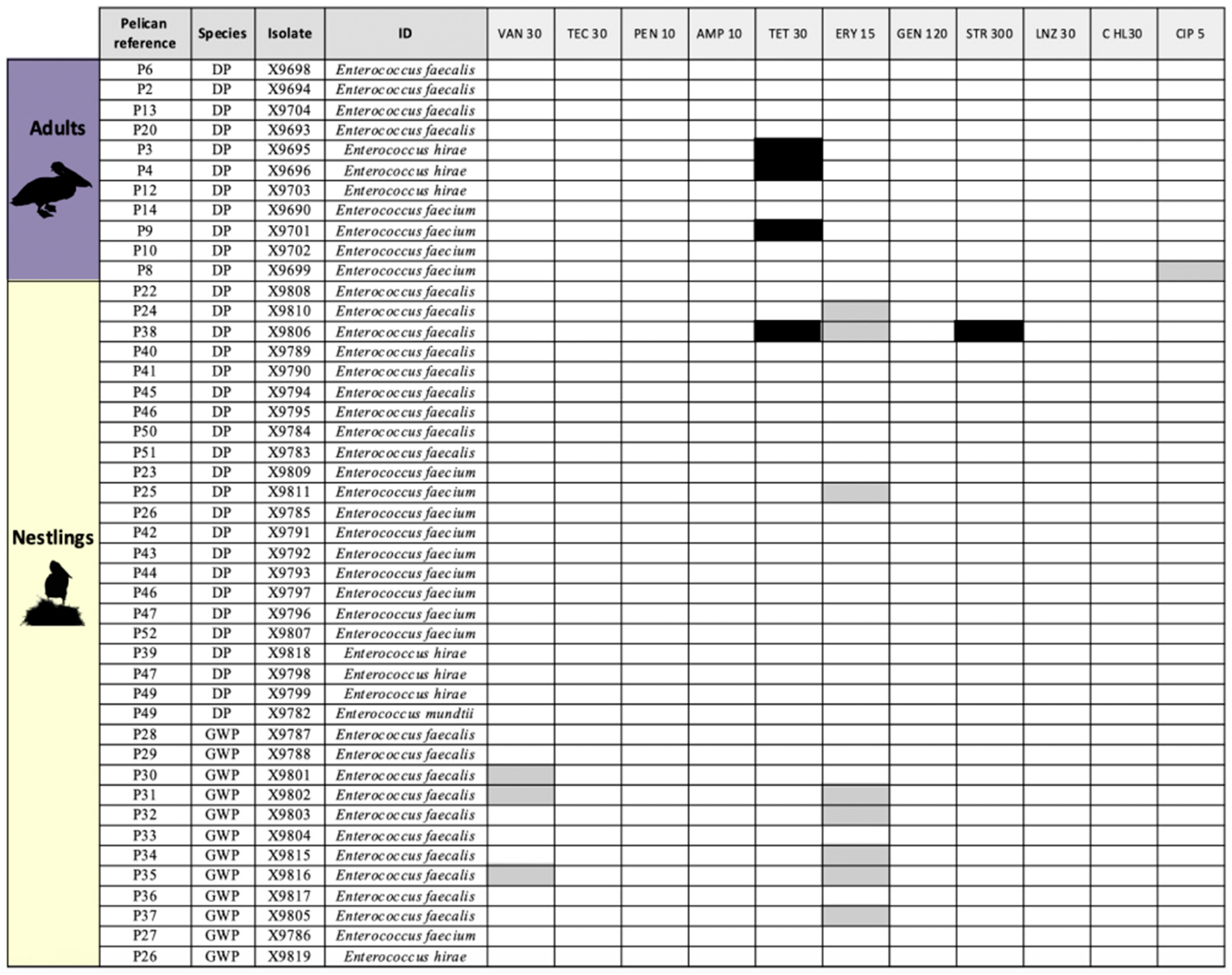 Antibiotics 14 00083 g003