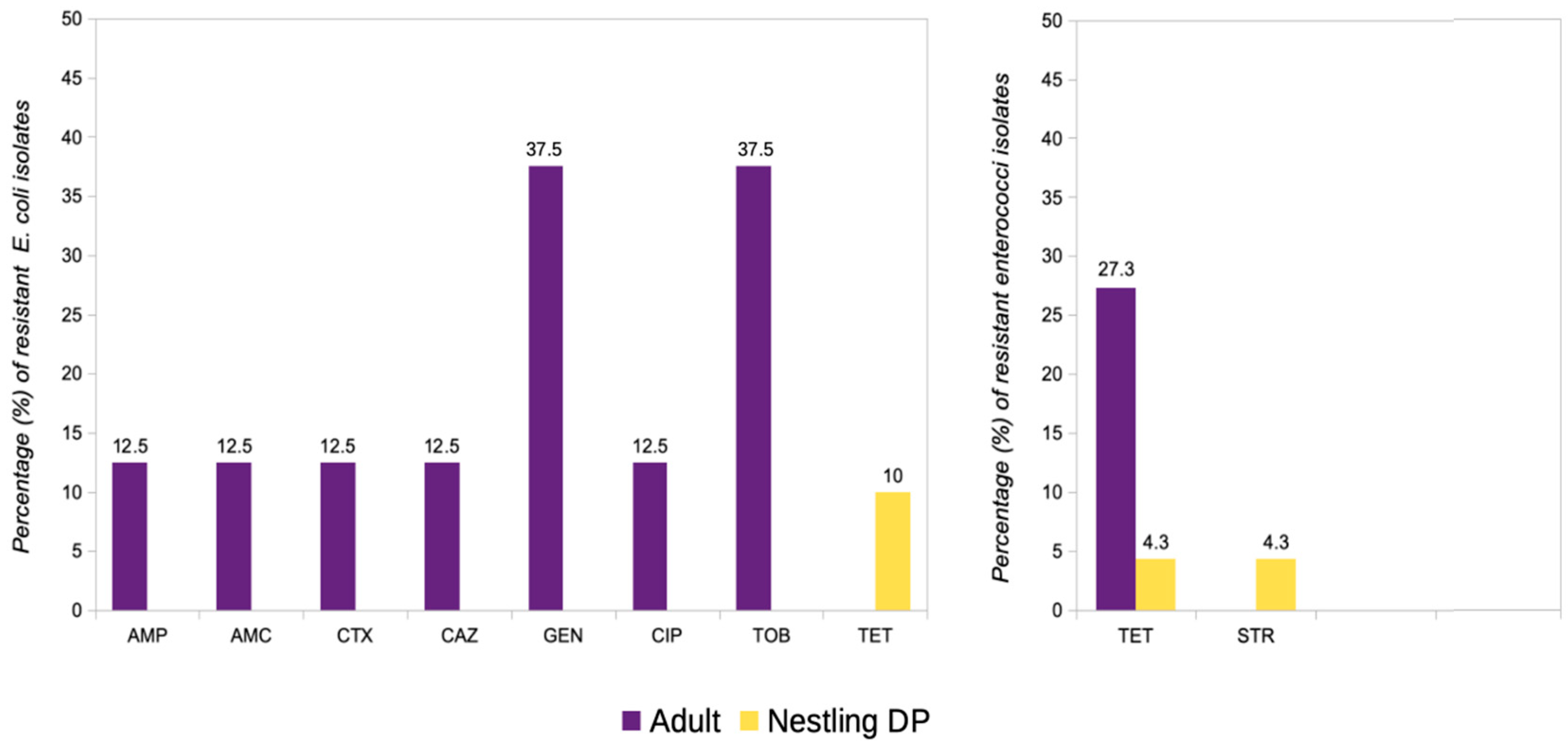 Antibiotics 14 00083 g004