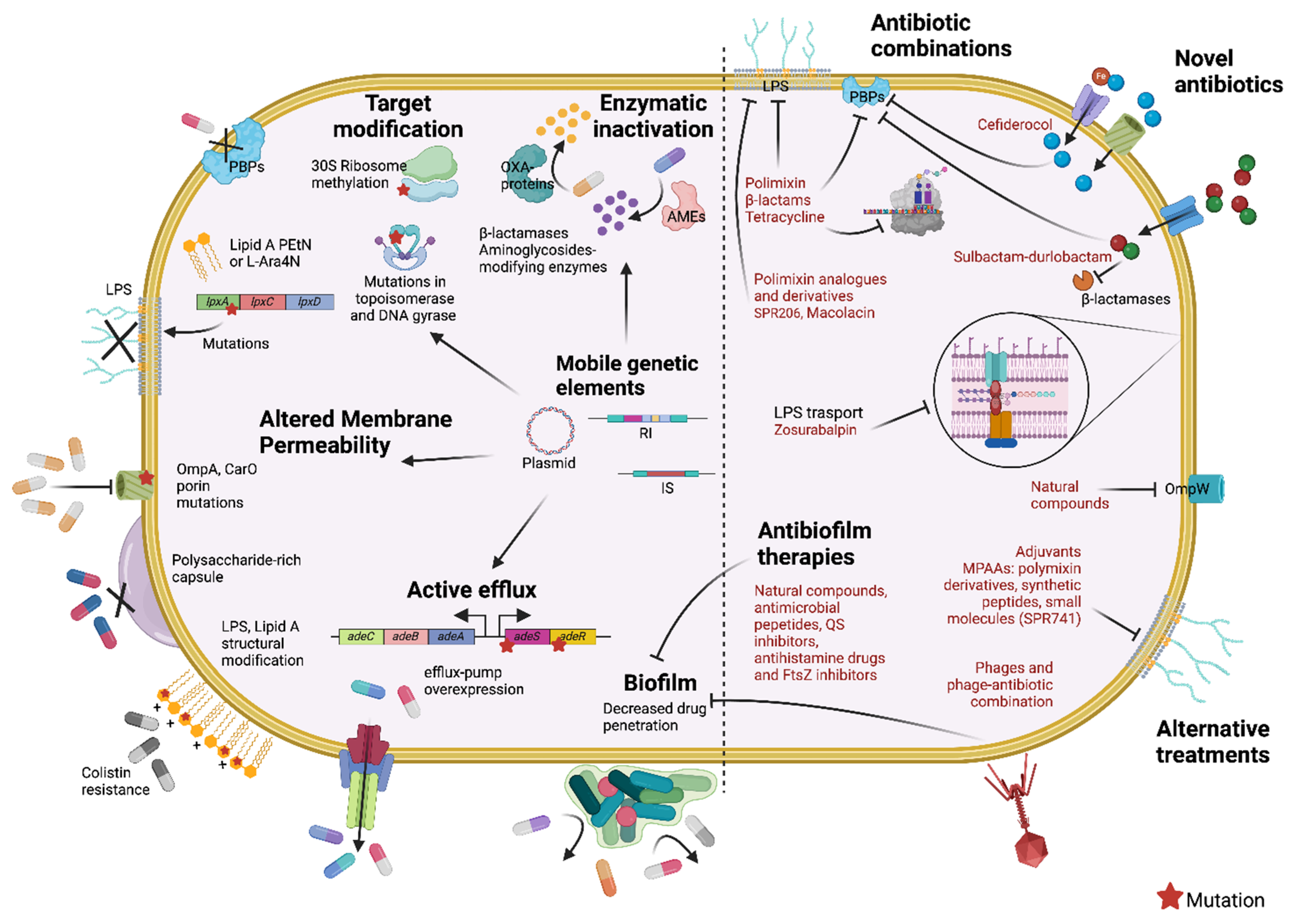 Antibiotics 14 00085 g001