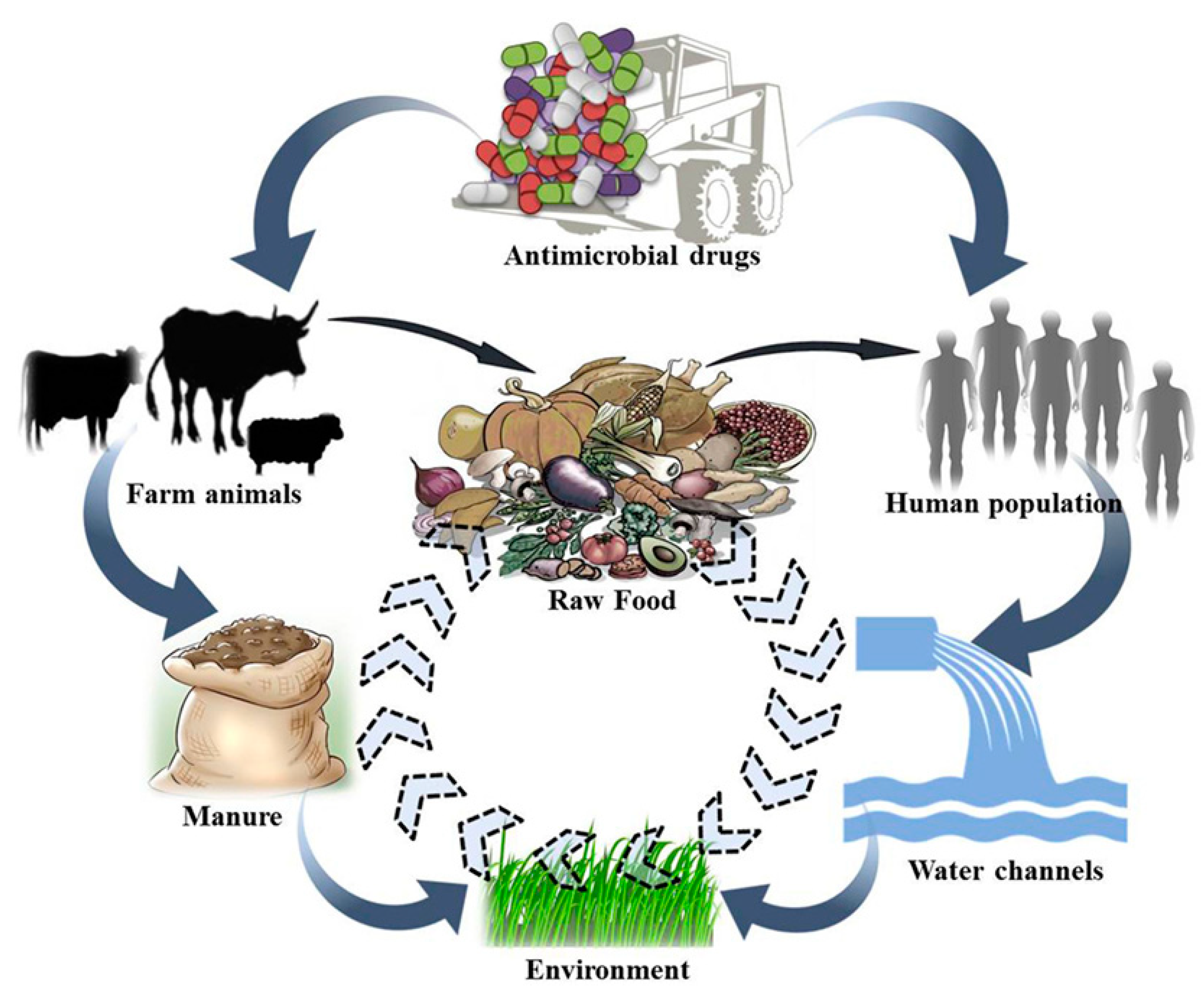 Antibiotics 14 00090 g002