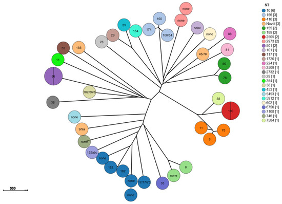 Antimicrobial Resistance Genes in Clinical Escherichia coli