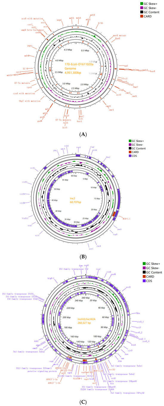 ライン Protease Inhibitor Cocktail(EDTA-Free,100X in DMSO)