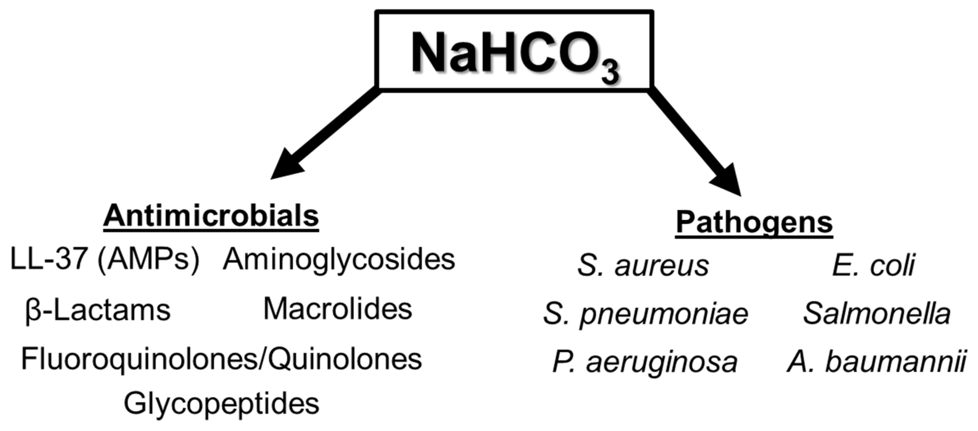 Antibiotics 14 00096 g001