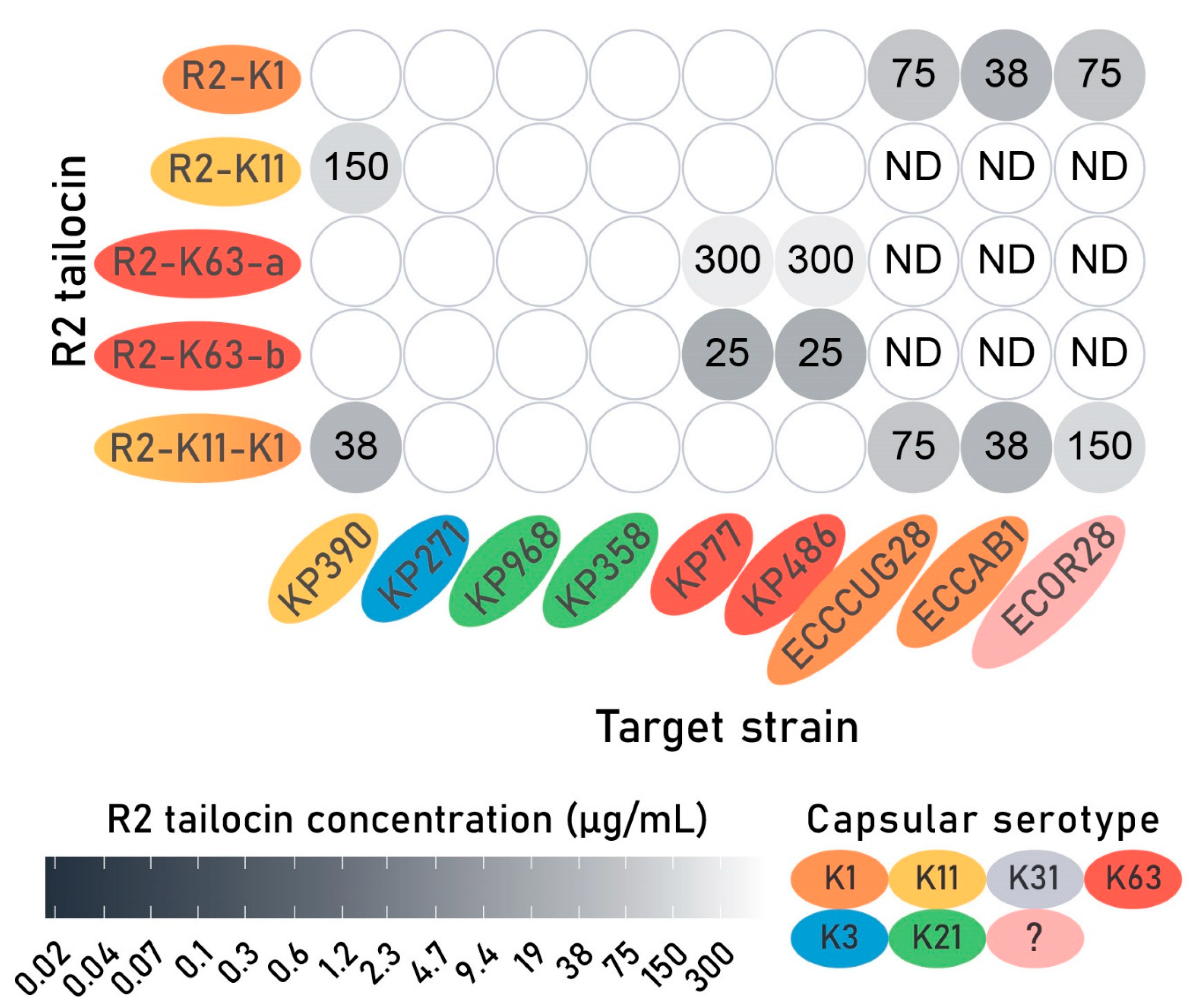 Antibiotics 14 00104 g005