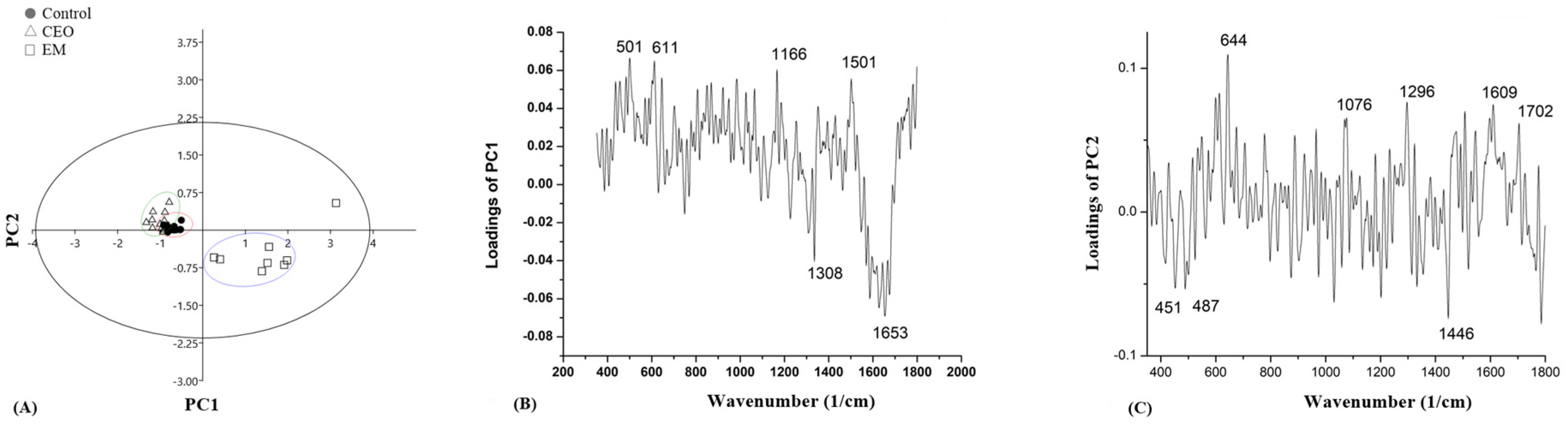 Antibiotics 14 00106 g008