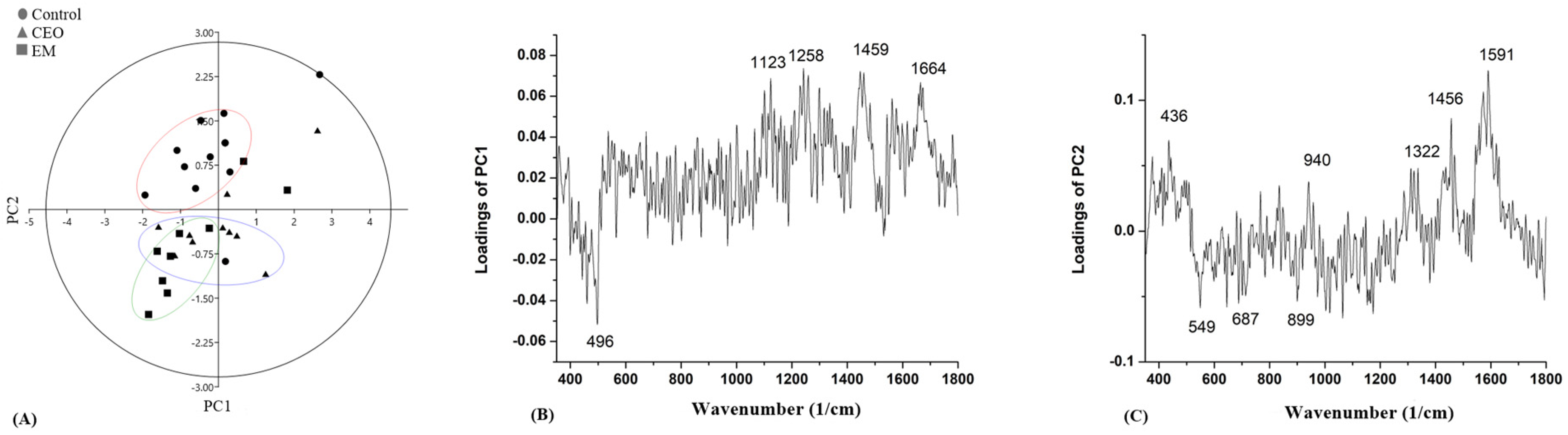 Antibiotics 14 00106 g009
