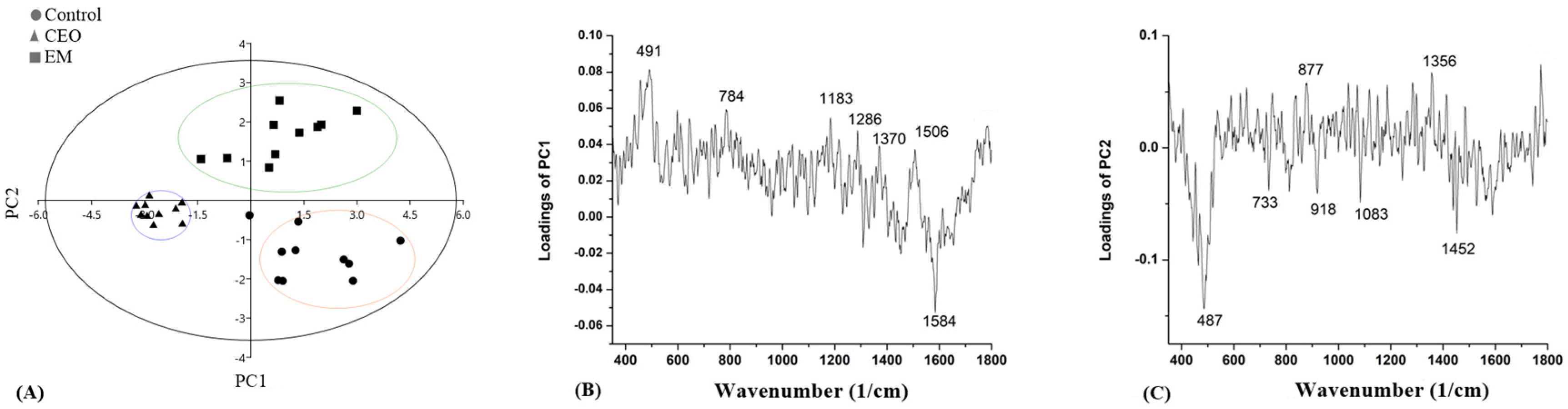 Antibiotics 14 00106 g010