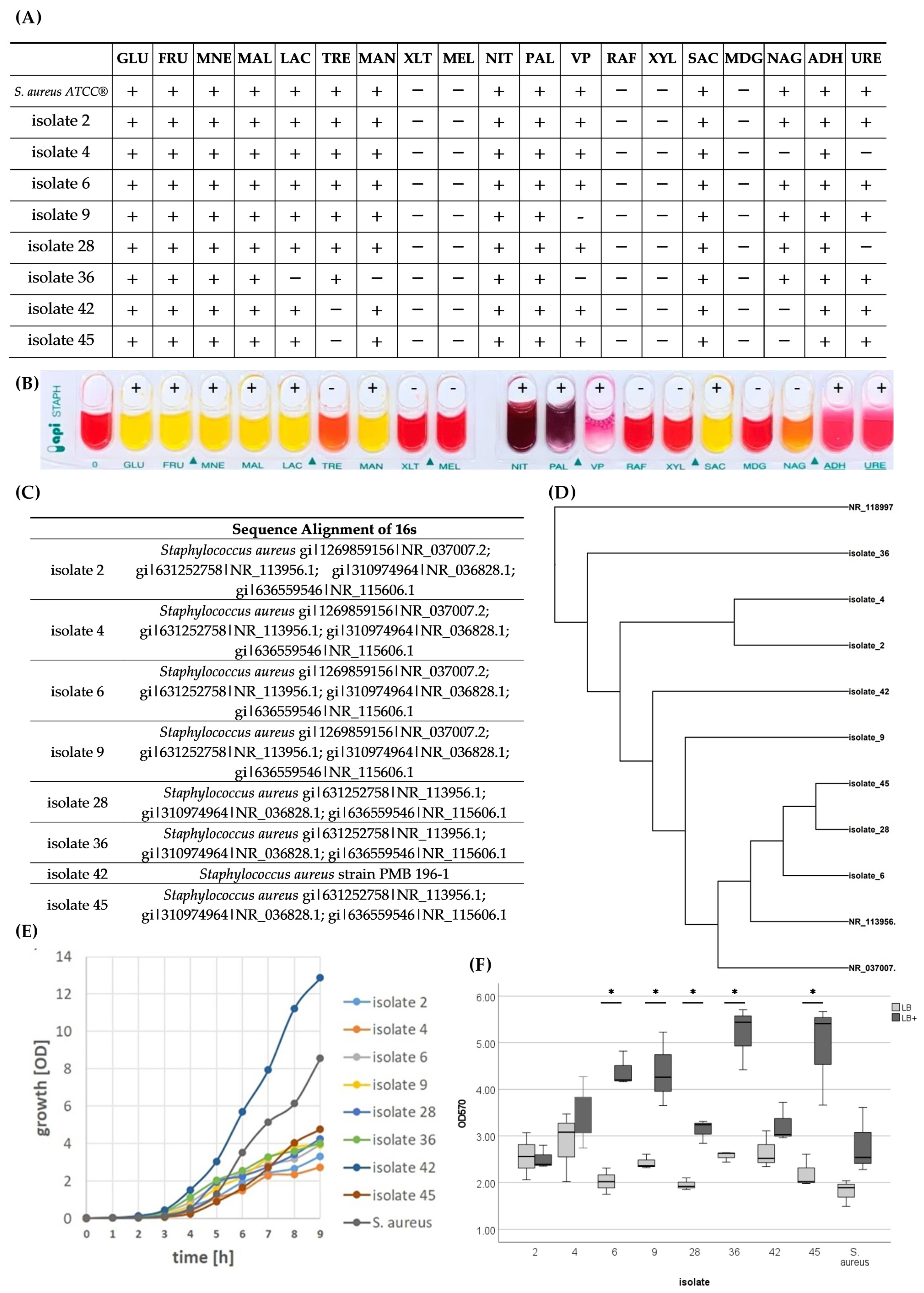 Antibiotics 14 00119 g001 Antibiotics 14 00119 g001