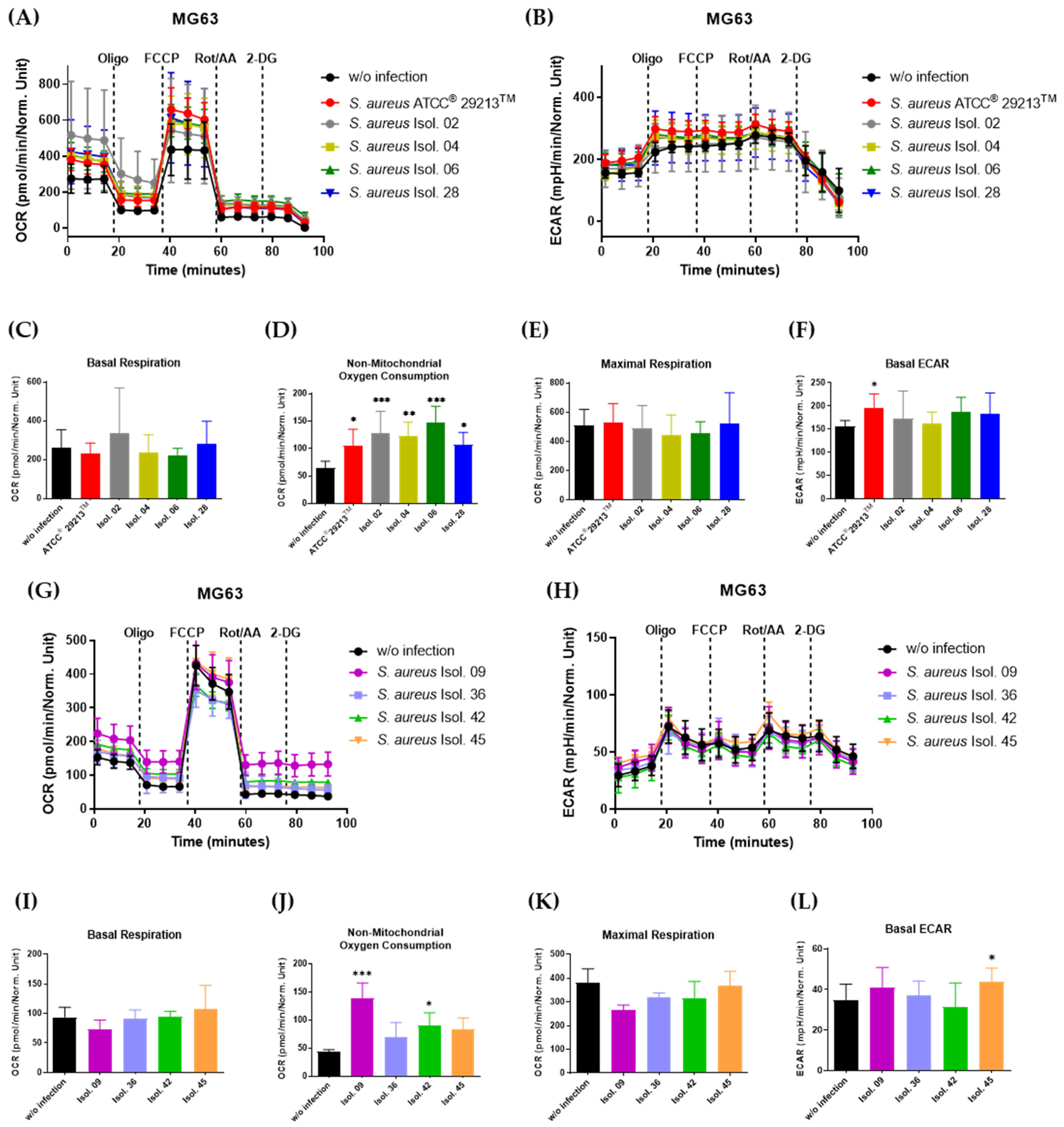 Antibiotics 14 00119 g005 Antibiotics 14 00119 g005