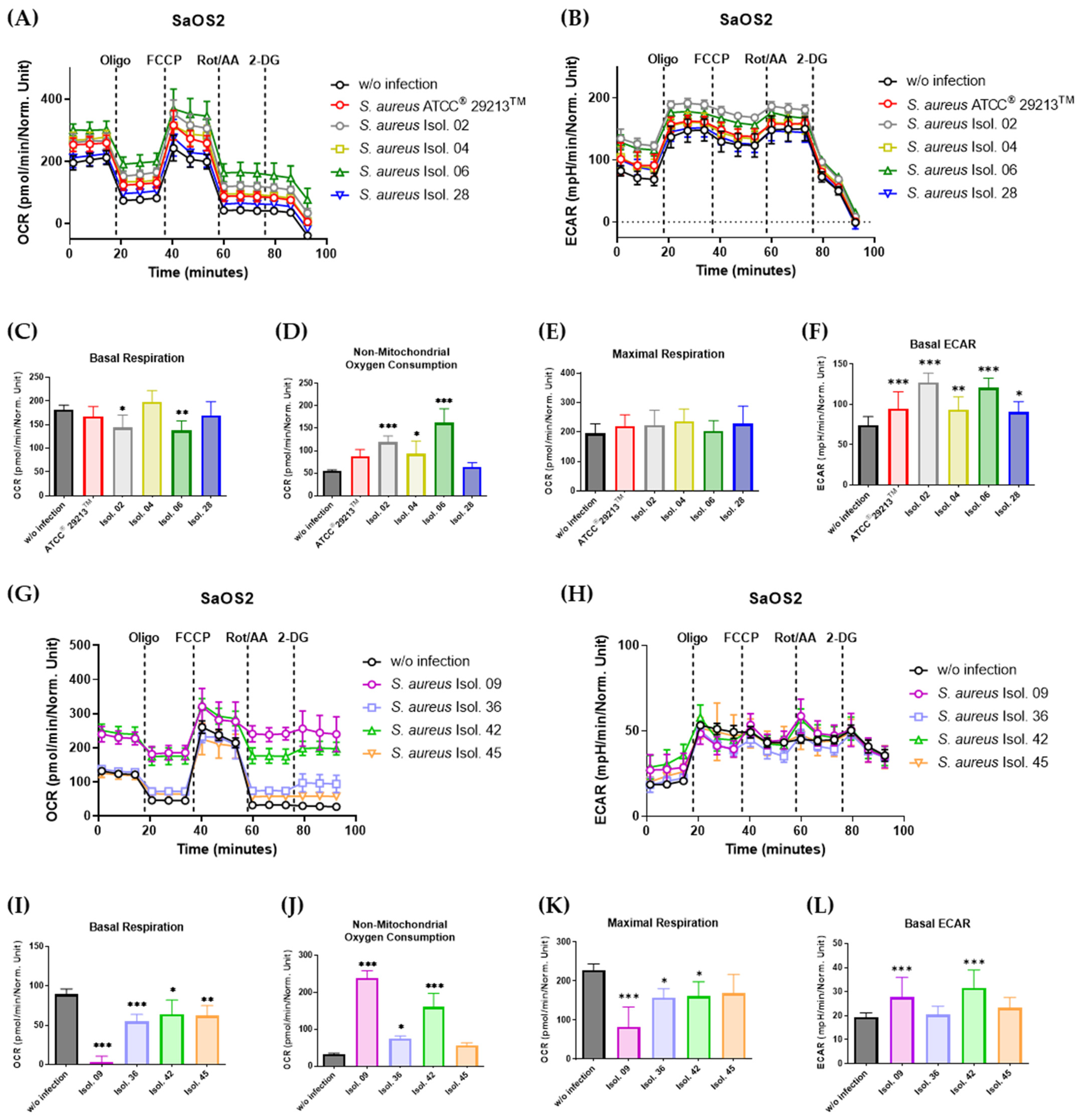 Antibiotics 14 00119 g006 Antibiotics 14 00119 g006
