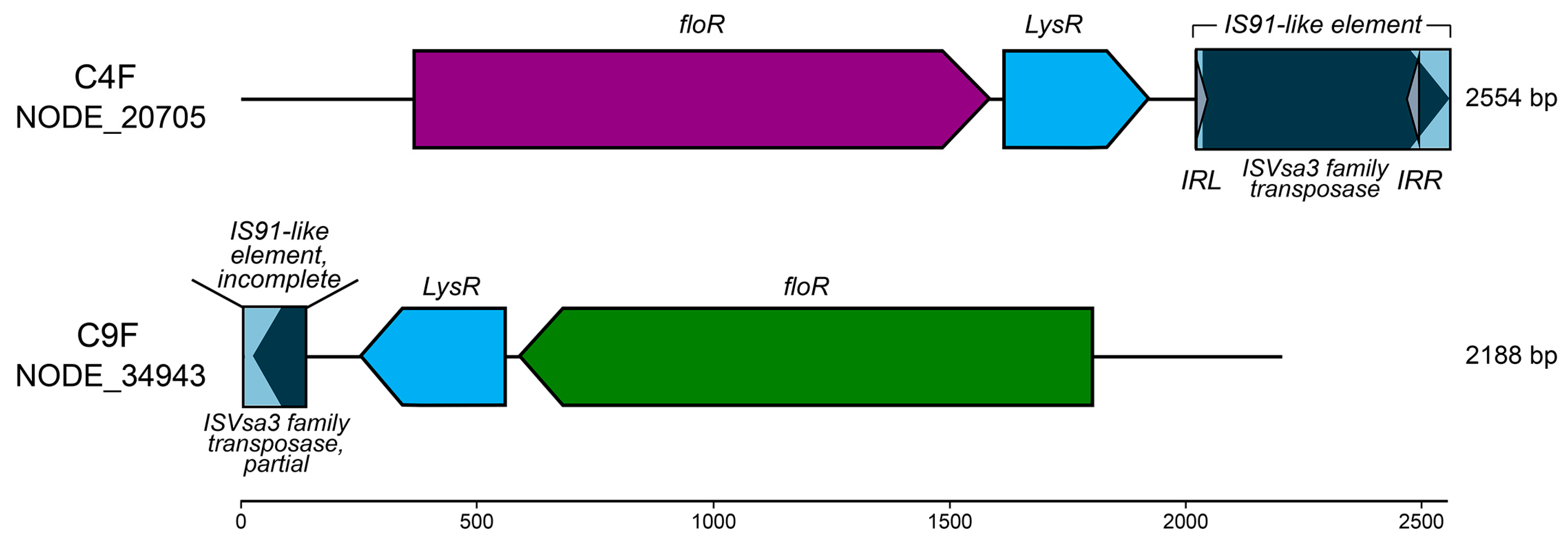 Antibiotics 14 00122 g004