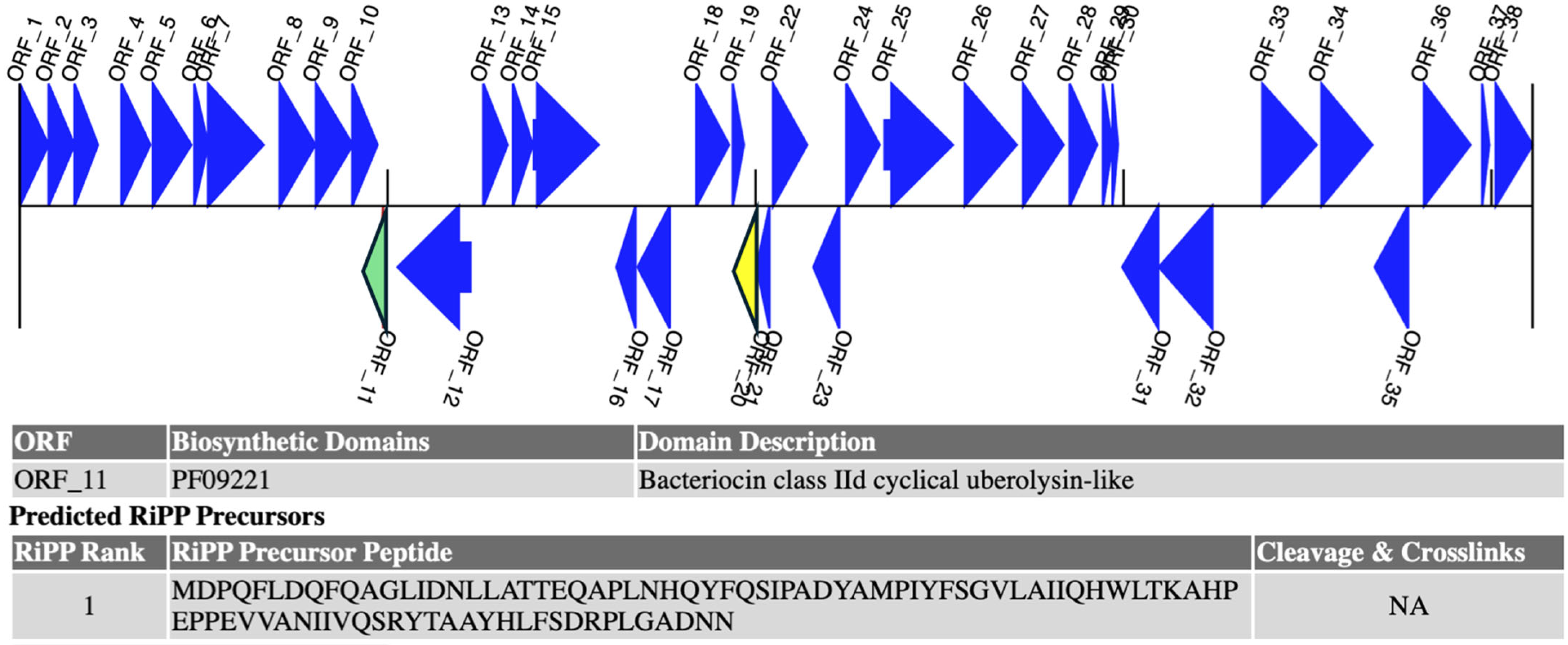 Antibiotics 14 00123 g003