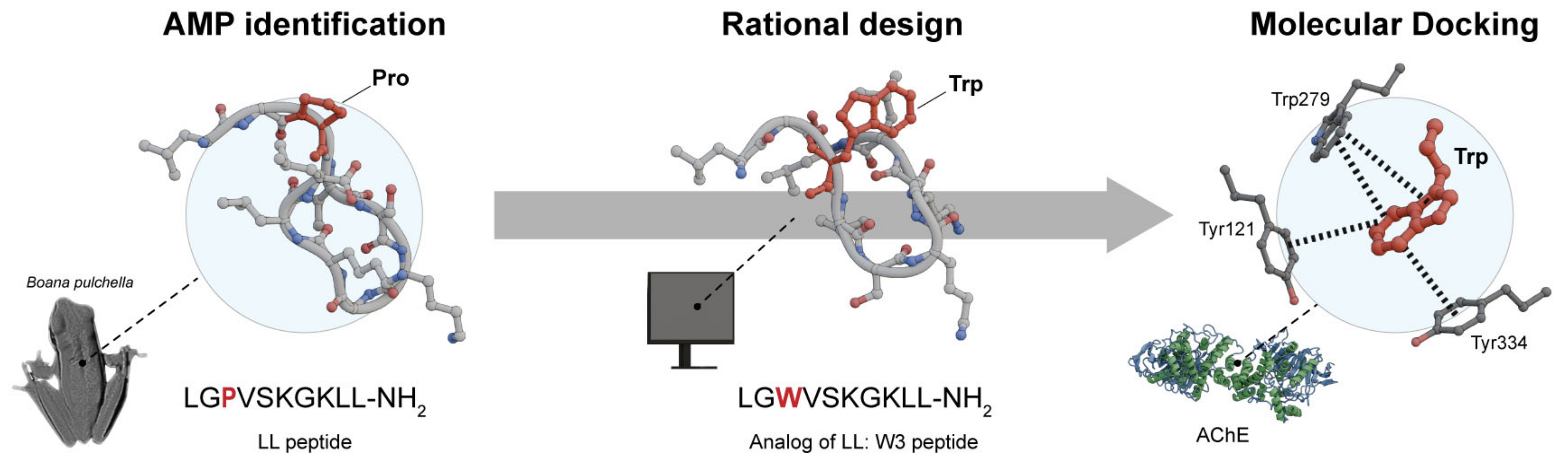 Antibiotics 14 00126 g002 Antibiotics 14 00126 g002